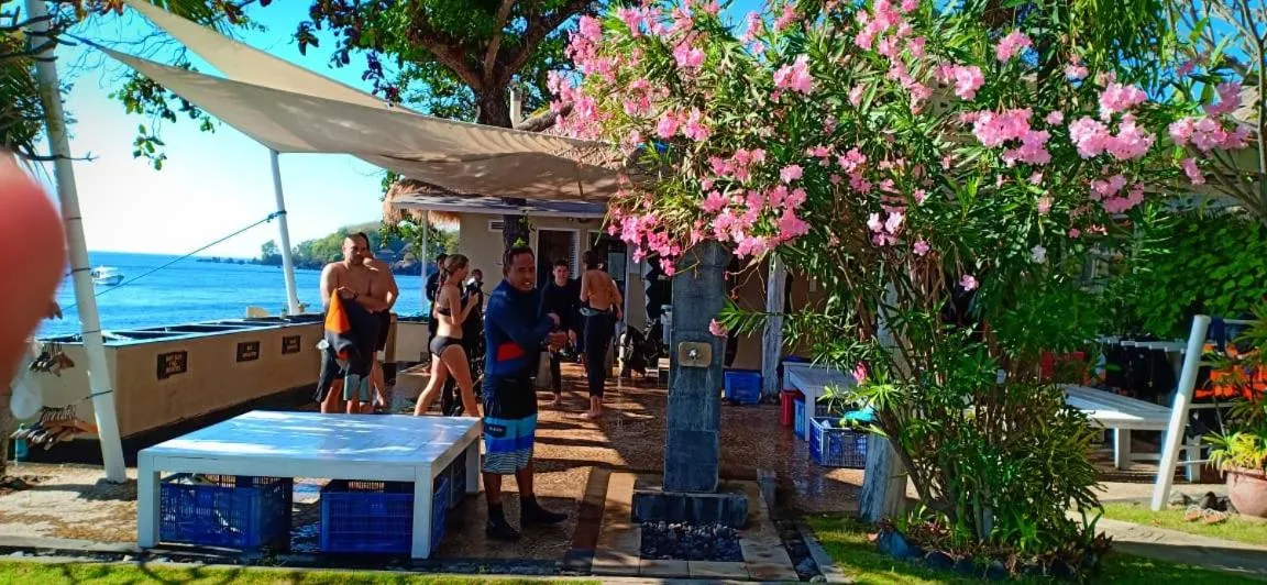 Diving in Tauch Terminal Resort Tulamben & Spa