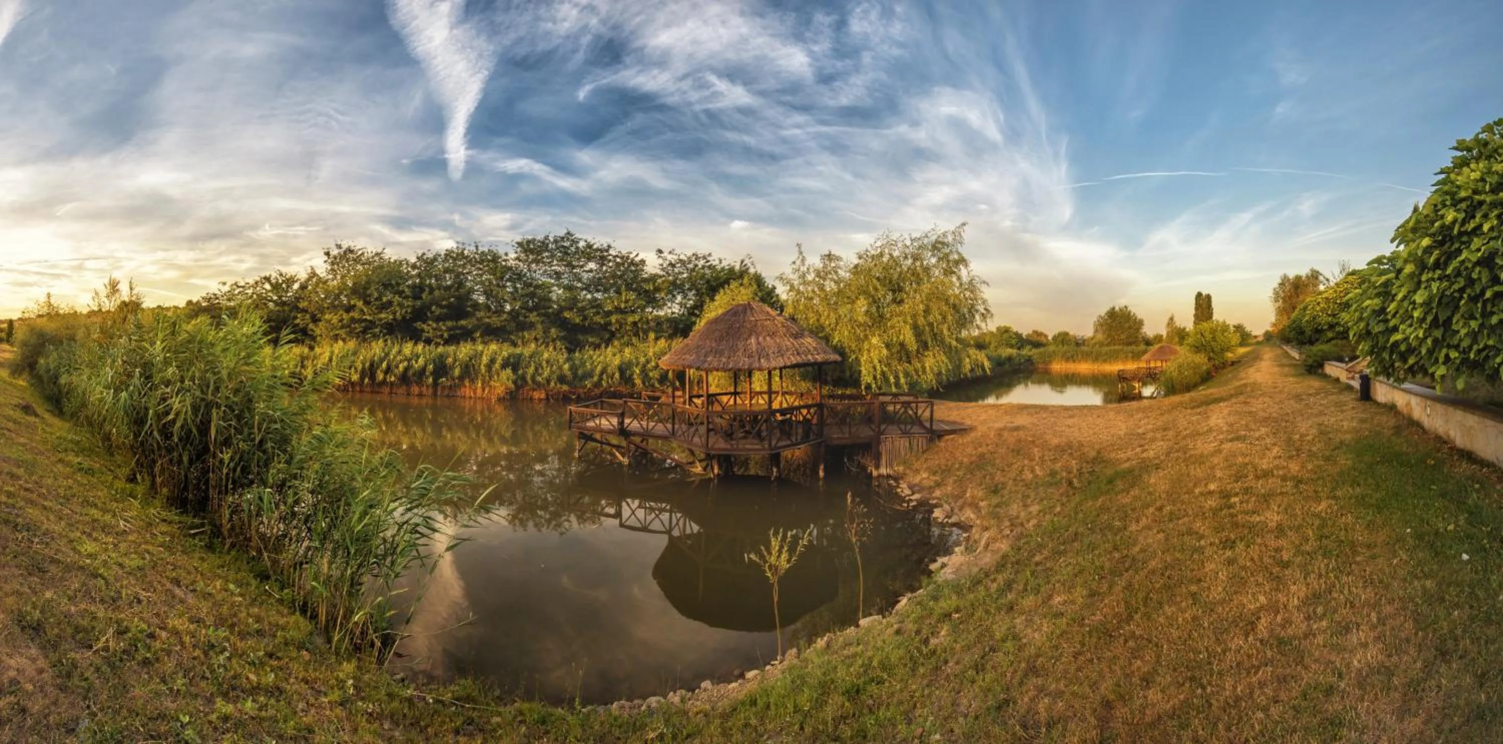 Natural landscape in Chateau Purcari
