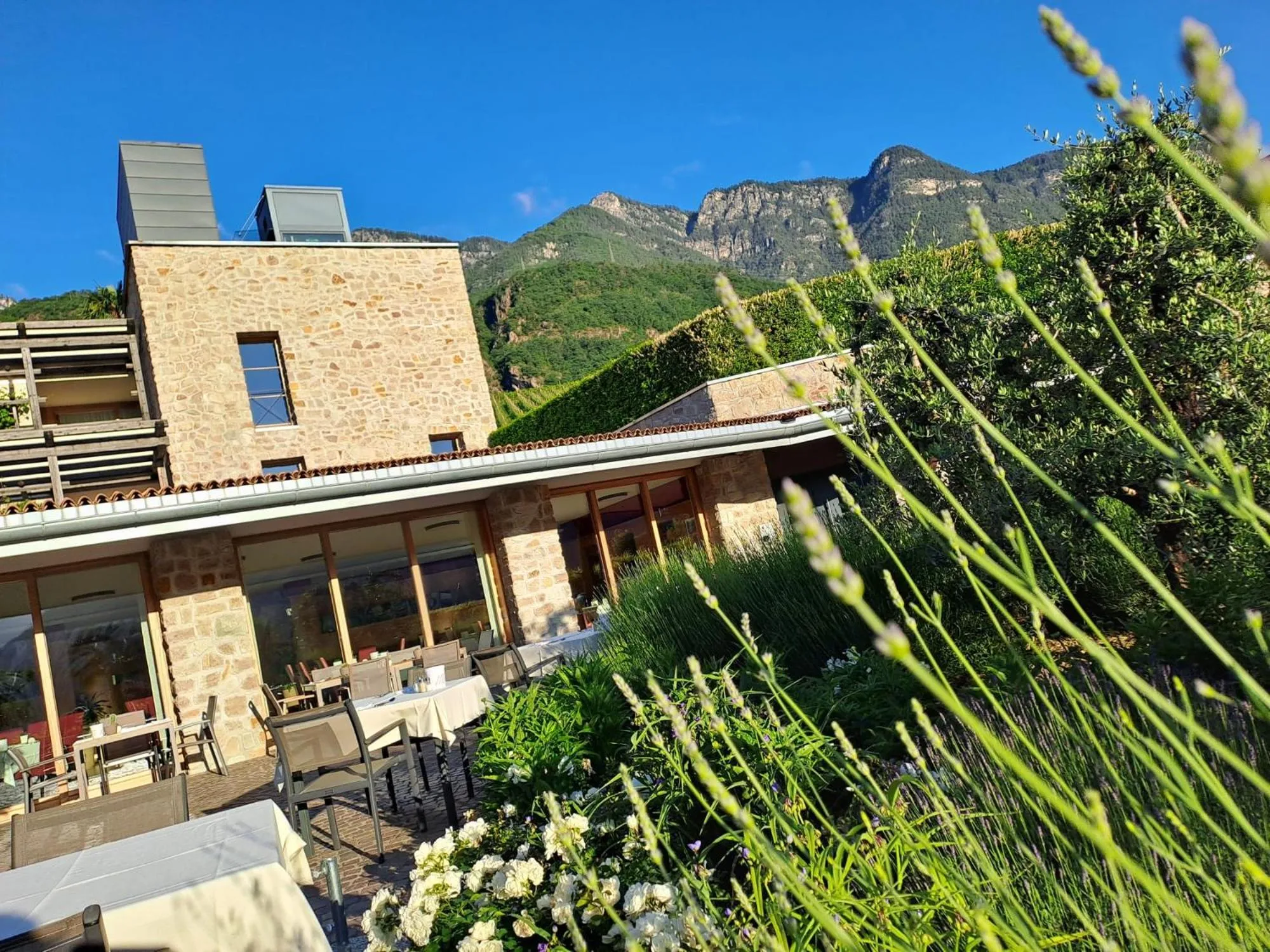 Property building in Hotel Hasslhof