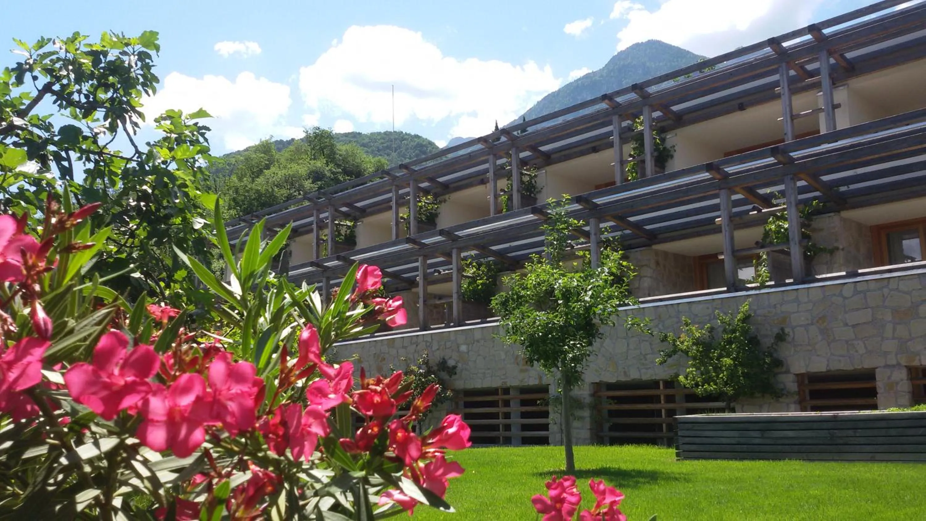 Property building in Hotel Hasslhof