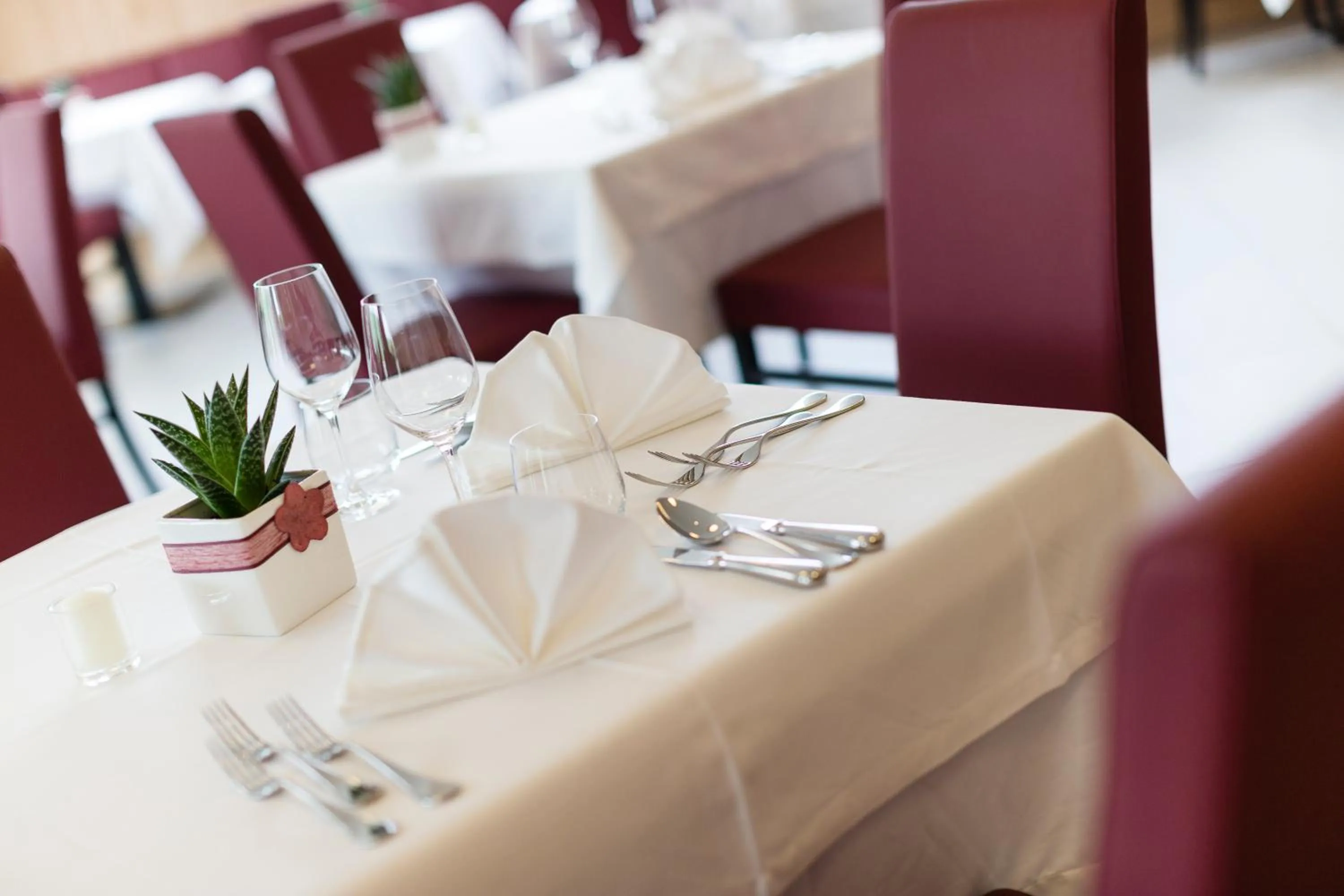 Restaurant/places to eat in Hotel Hasslhof