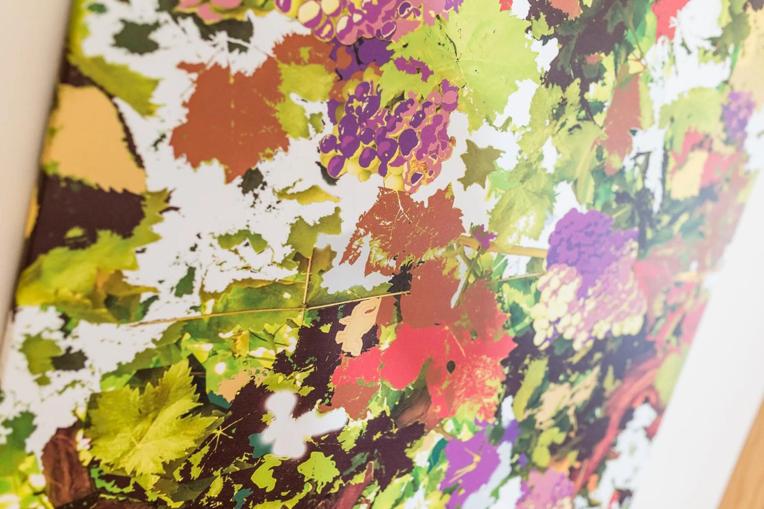 Photo of the whole room in Hotel Hasslhof