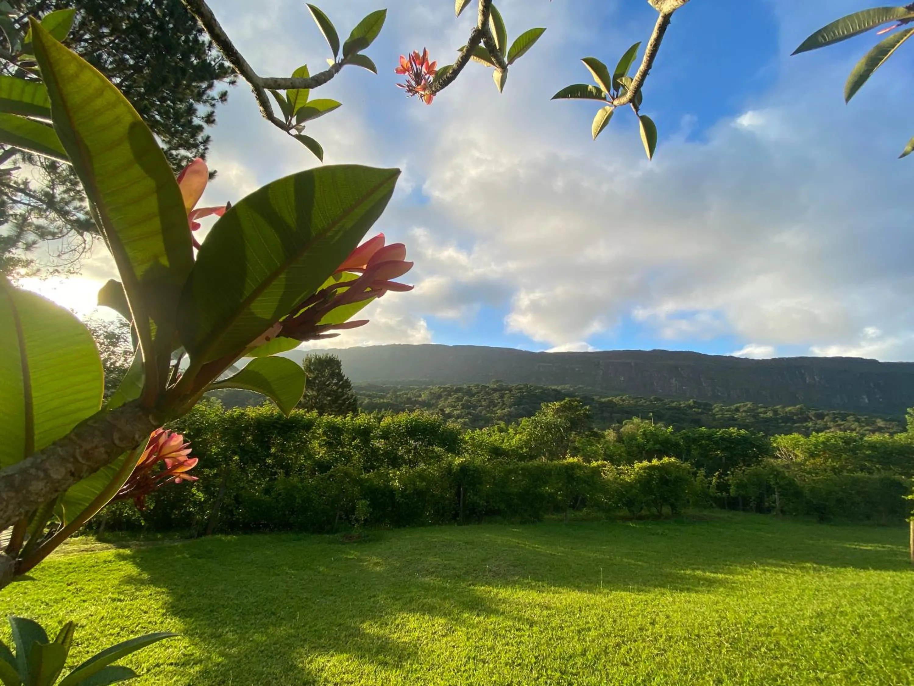 Spring in Segredo da Serra Guest House
