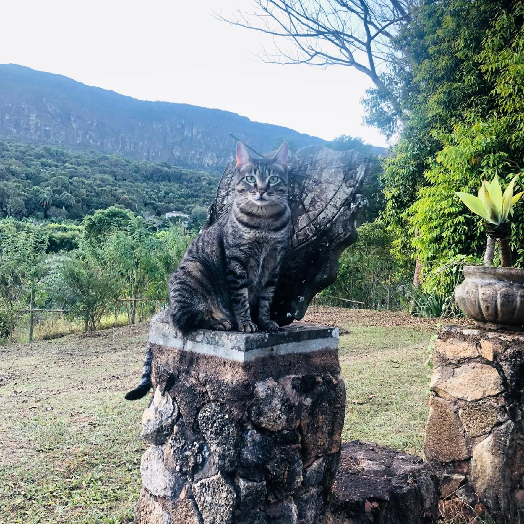 Patio in Segredo da Serra Guest House