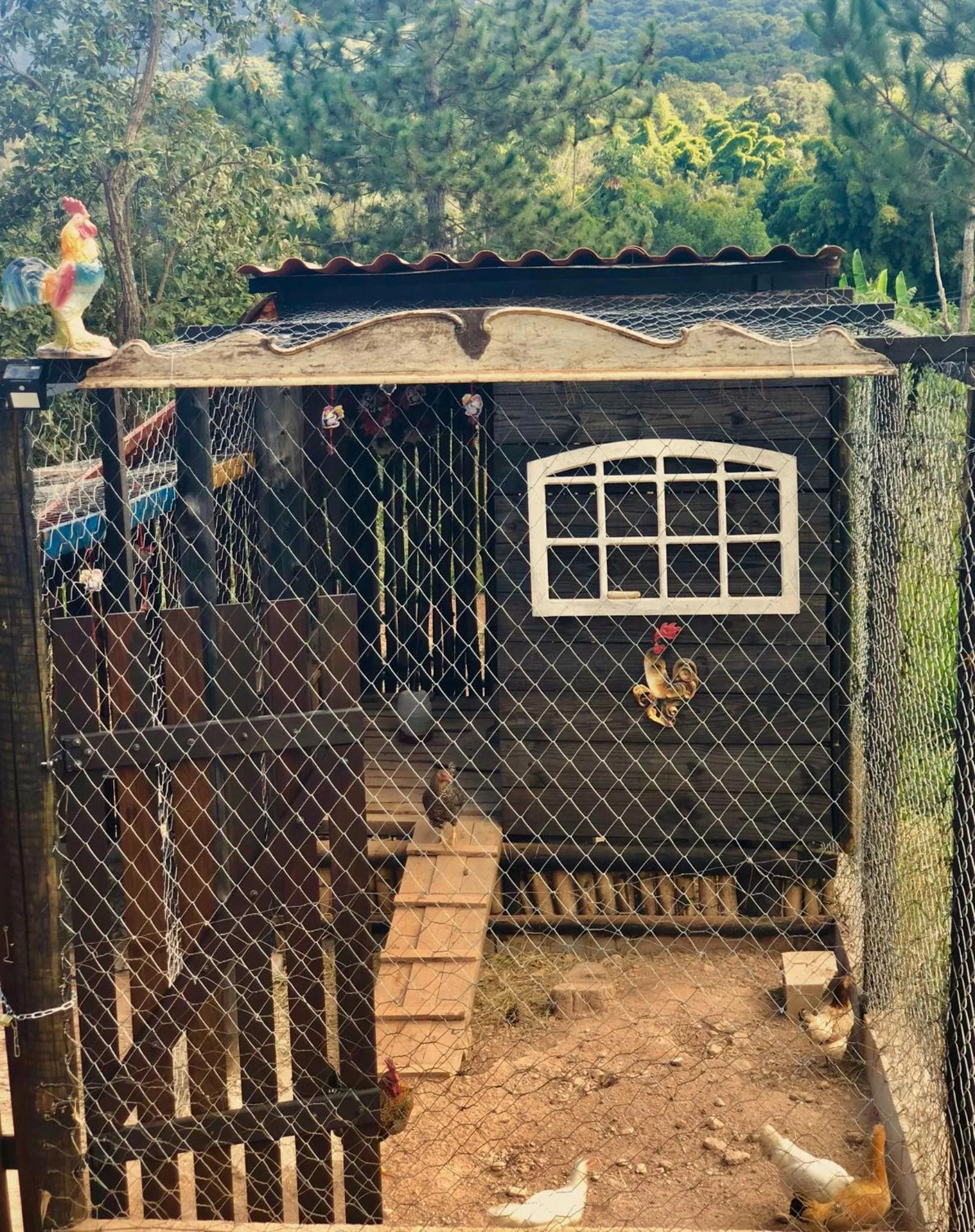 Natural landscape in Segredo da Serra Guest House