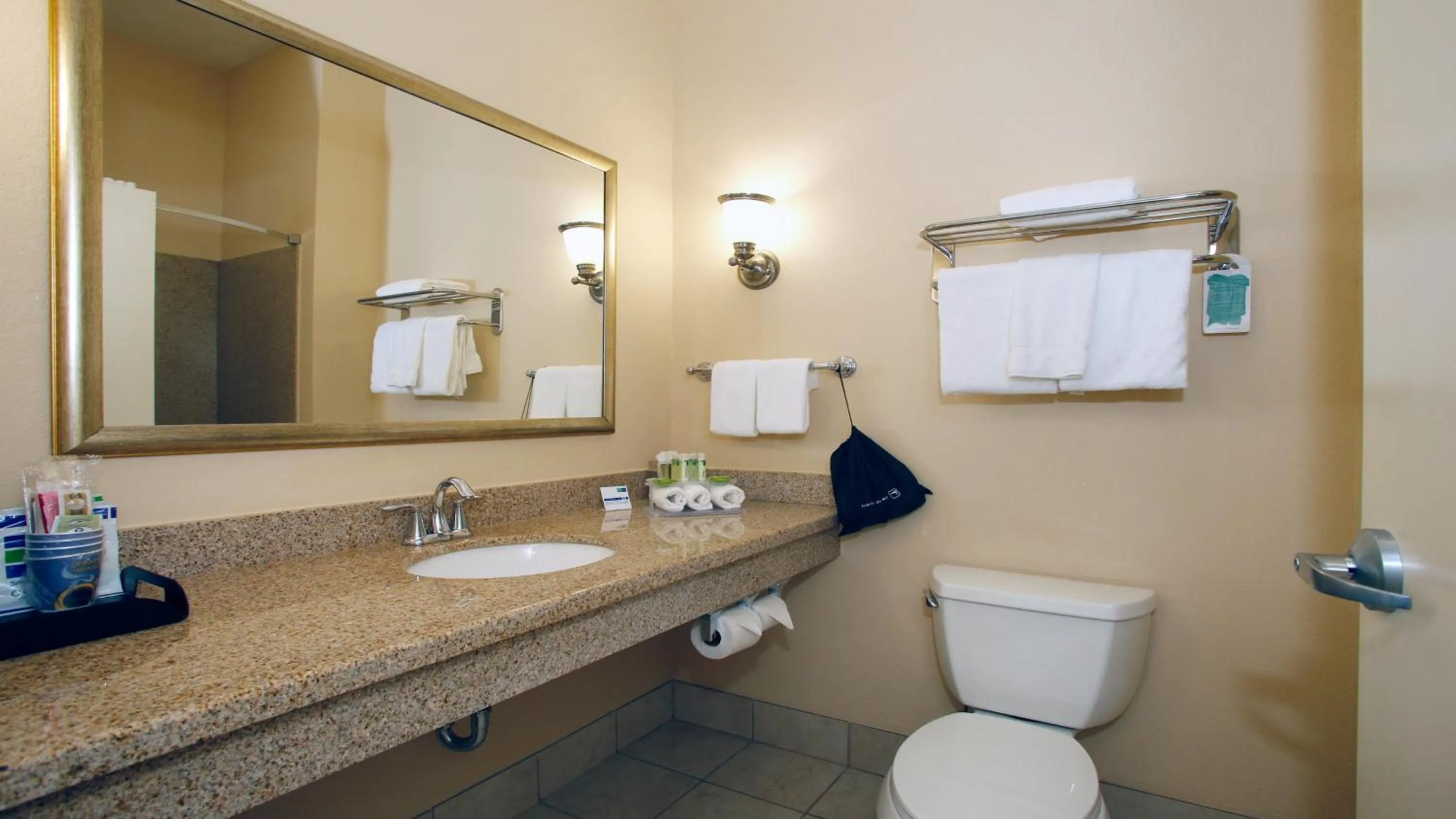Bathroom in Holiday Inn Express Leland - Wilmington Area by IHG