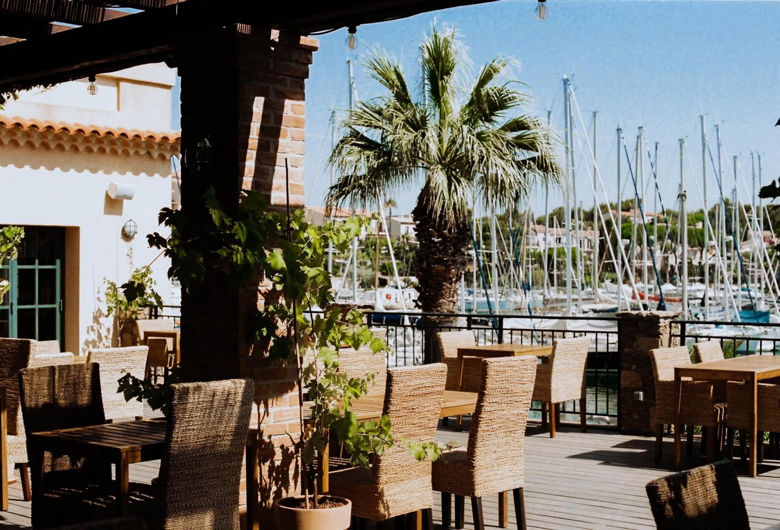 Restaurant/places to eat in Hôtel Helios & SPA - Ile des Embiez