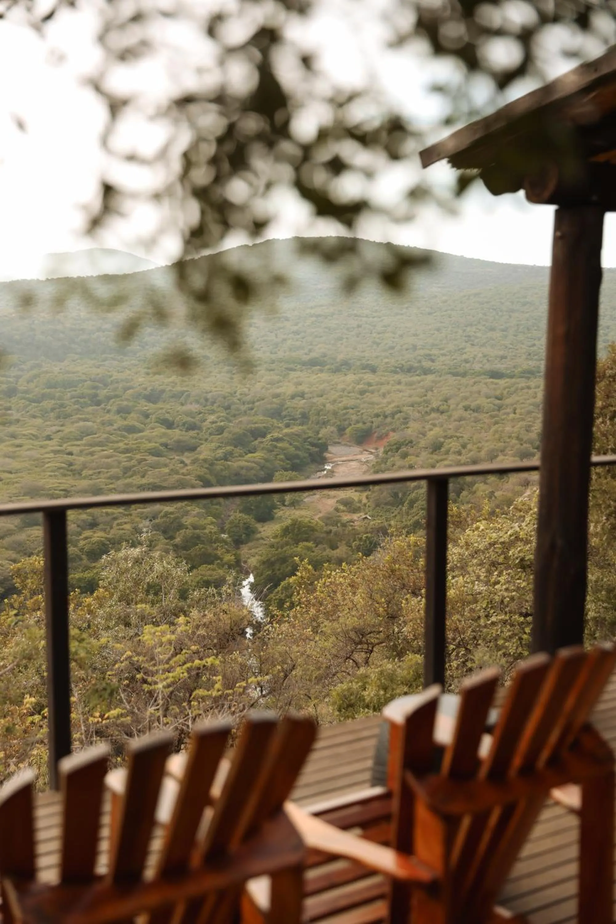 View (from property/room) in Leopard Mountain Safari Lodge