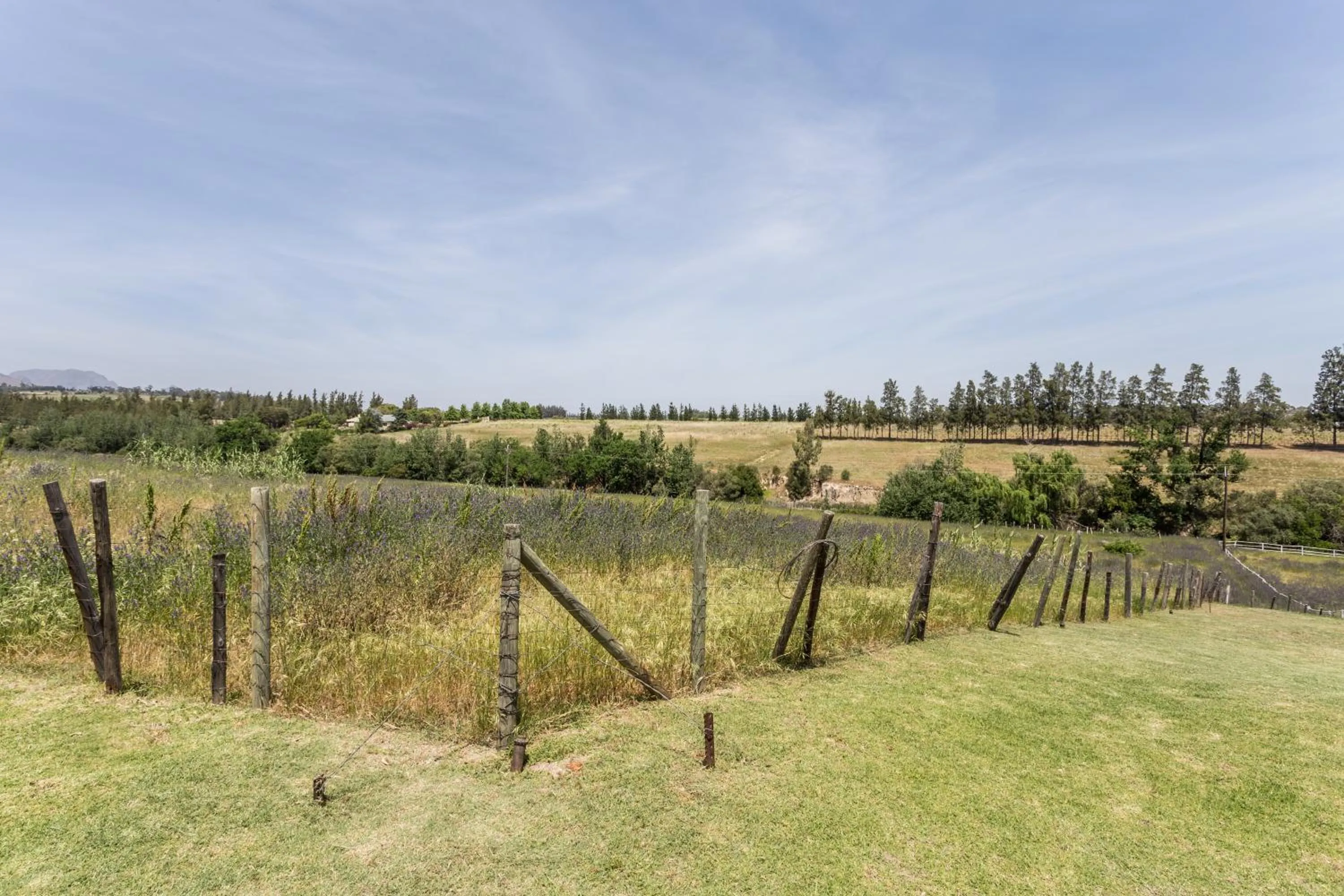 View (from property/room) in Oude Wellington Estate