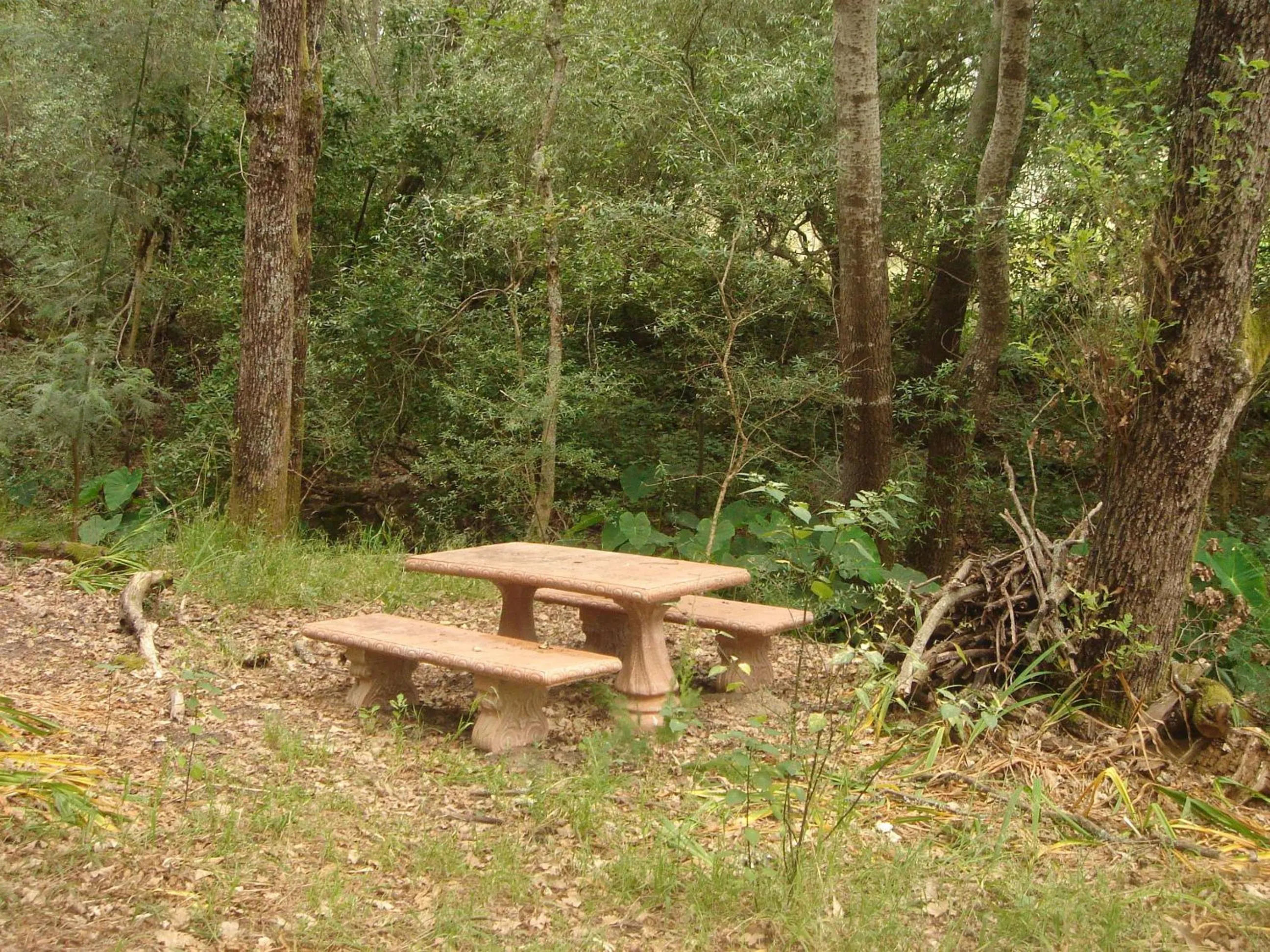 Area and facilities in Oude Wellington Estate