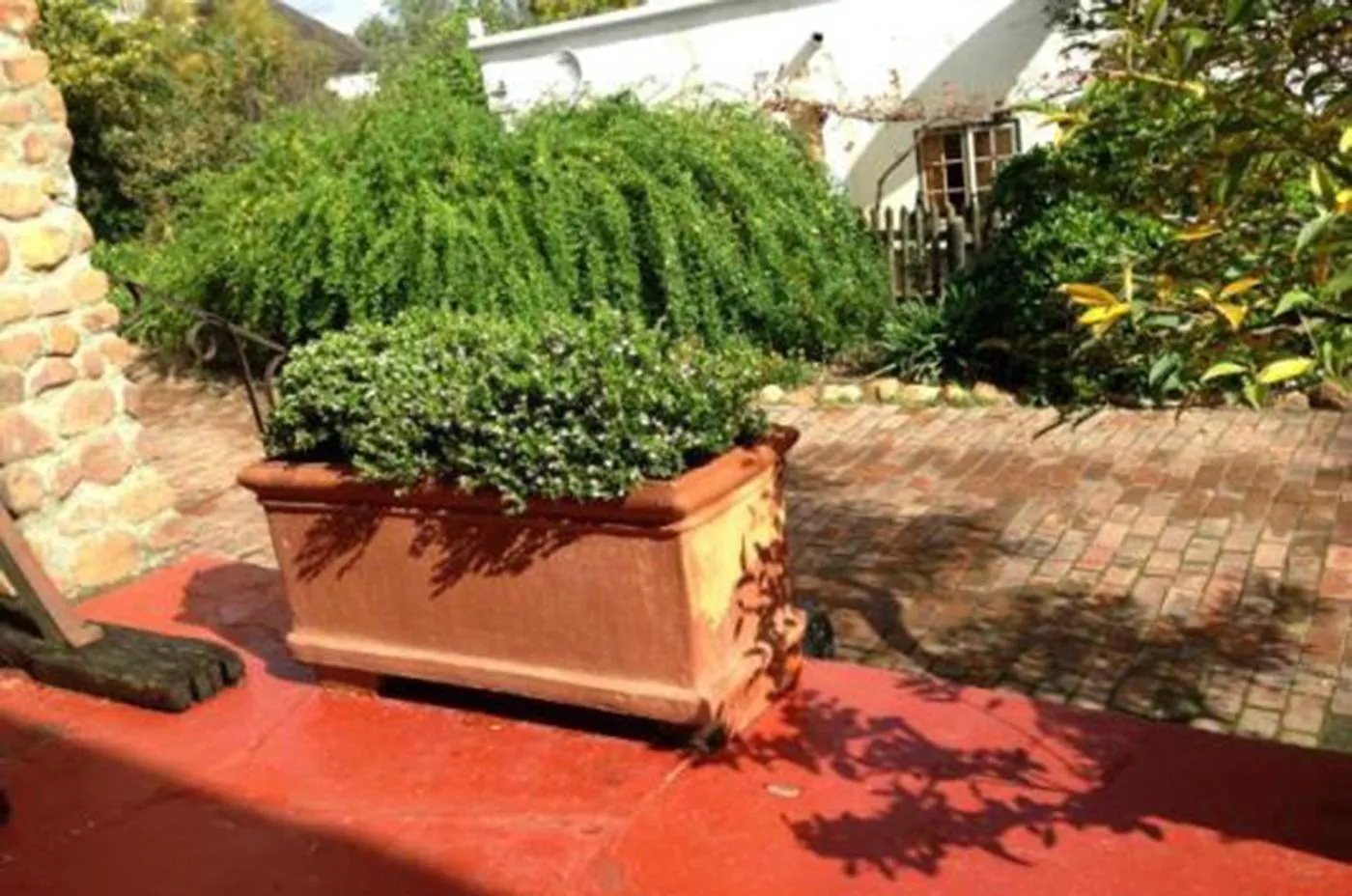 Garden view in Oude Wellington Estate