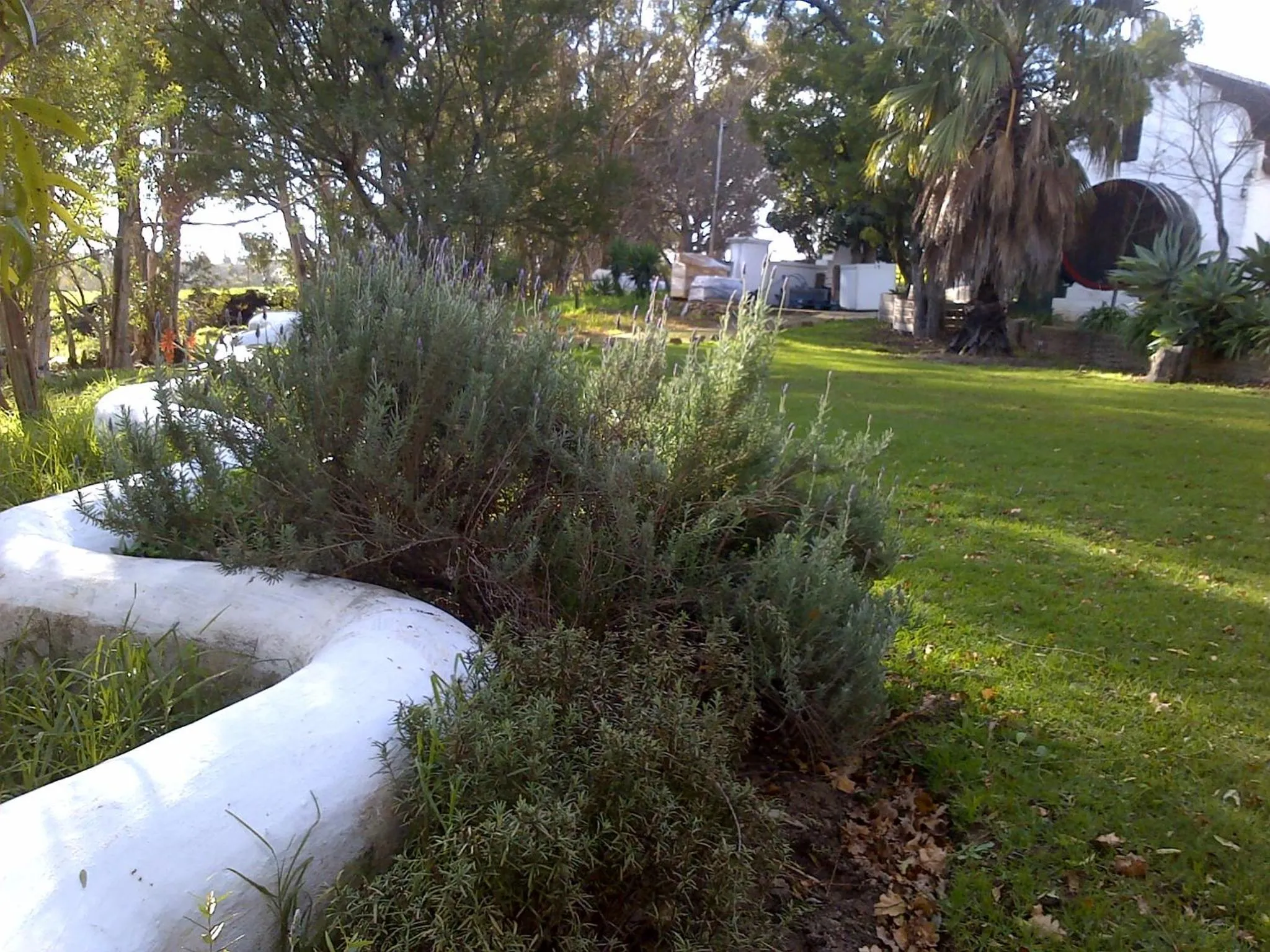 Restaurant/places to eat in Oude Wellington Estate