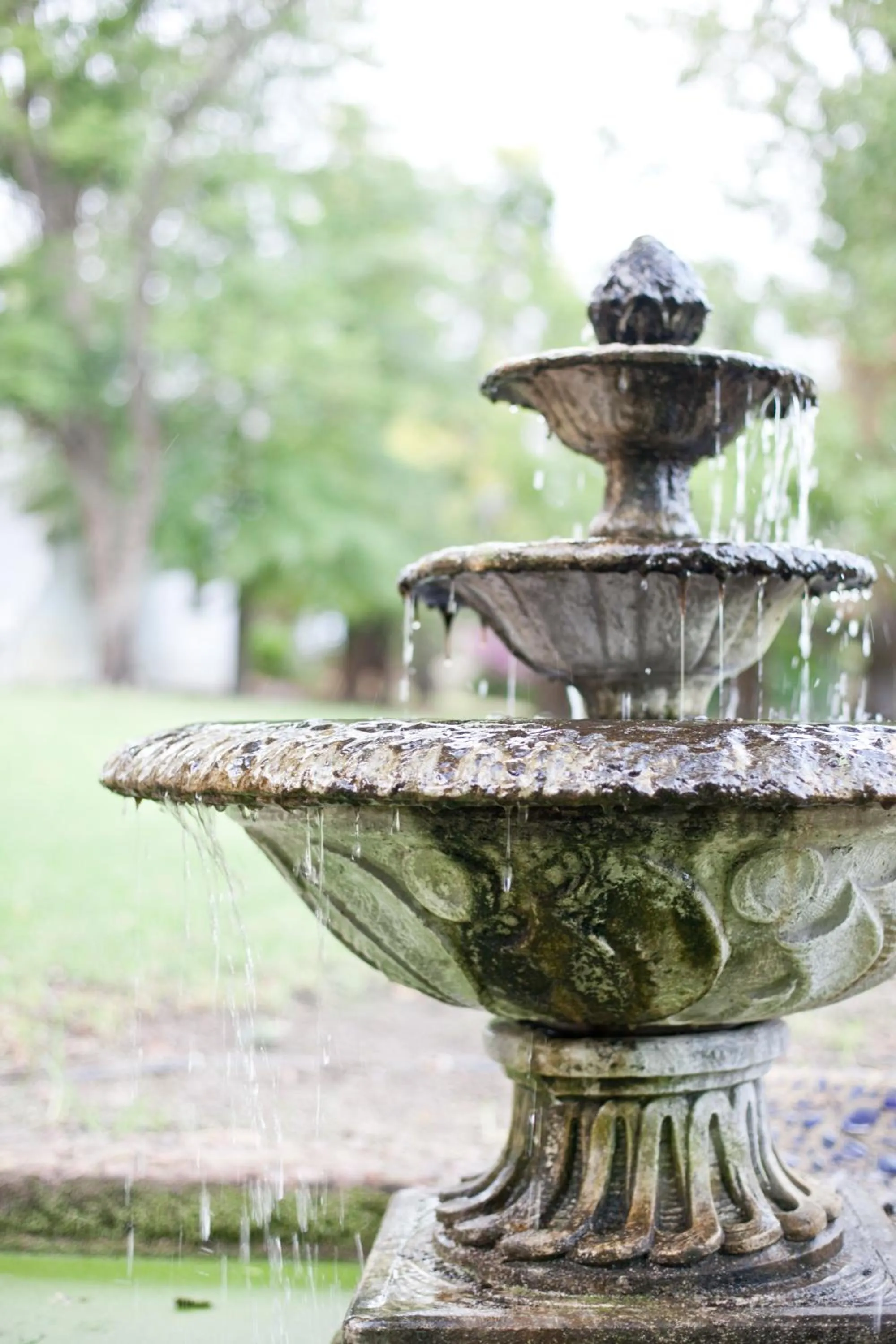 Day in Oude Wellington Estate