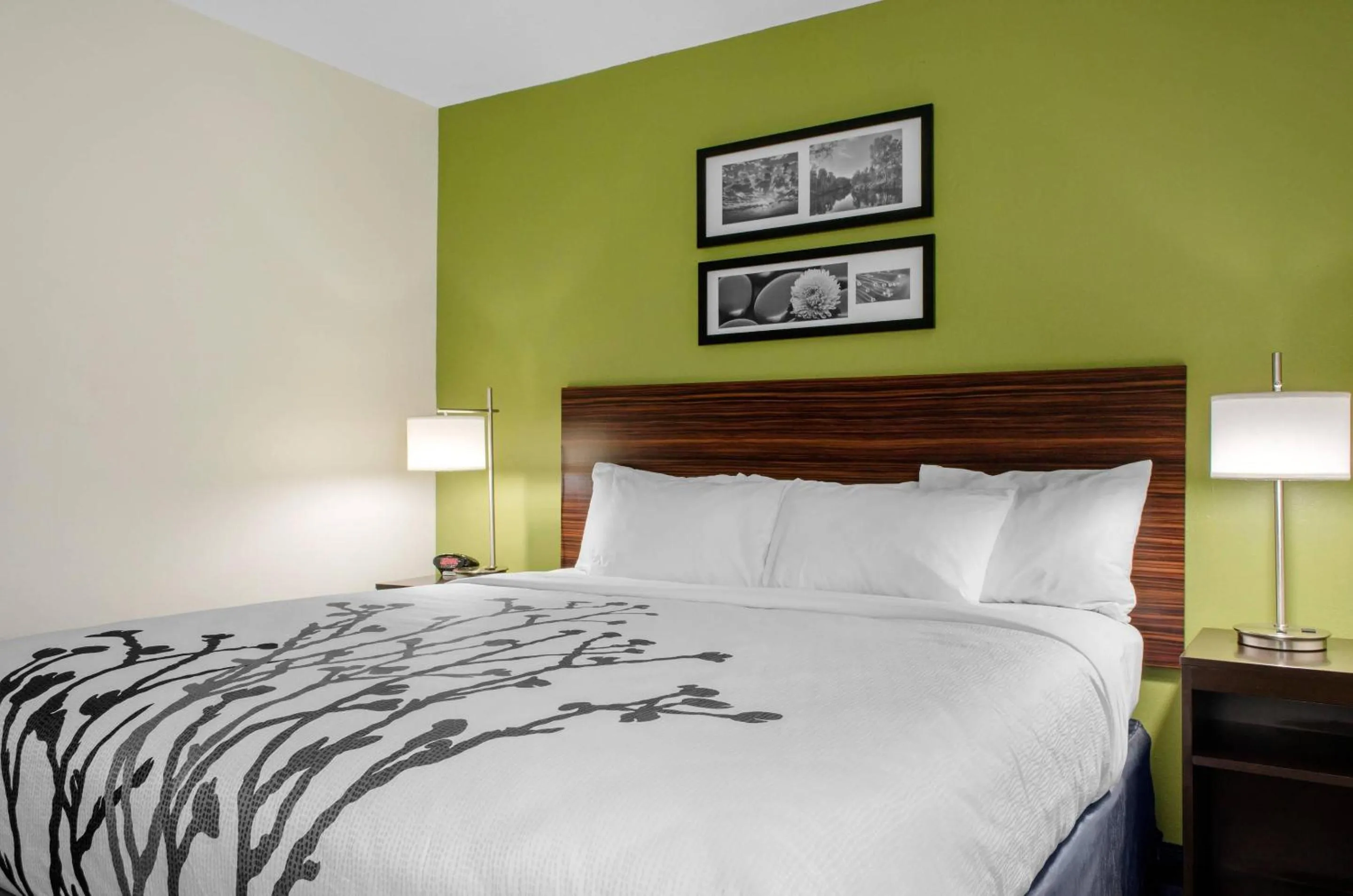 Bedroom, Bed in Sleep Inn Baton Rouge East I-12