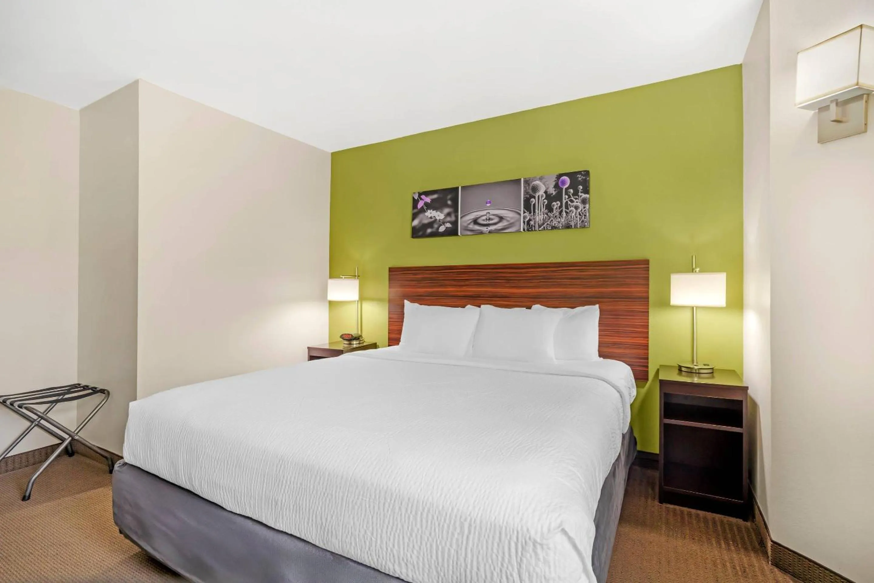 Bedroom, Bed in Sleep Inn Baton Rouge East I-12