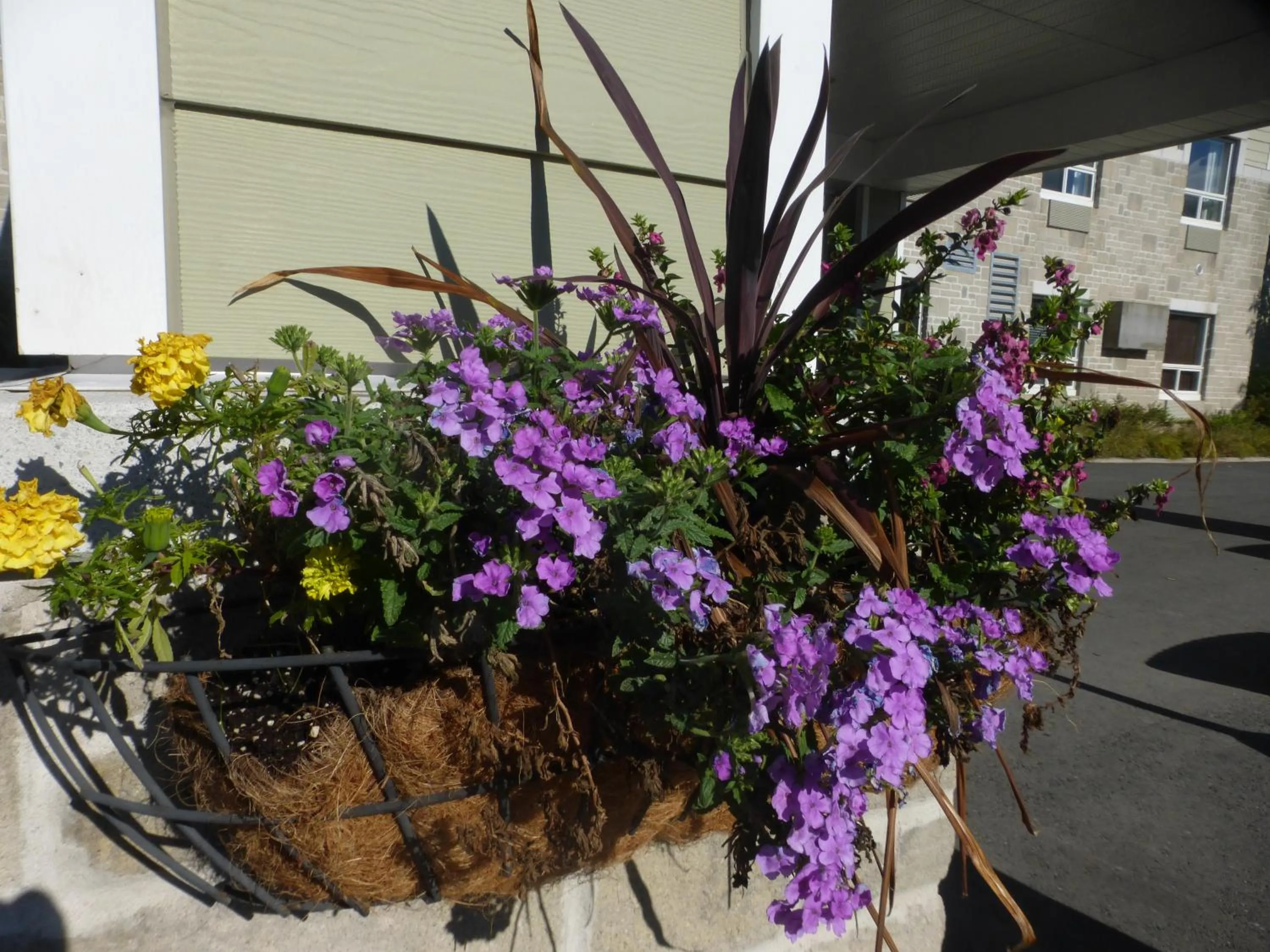 Property building in Super 8 by Wyndham Peterborough