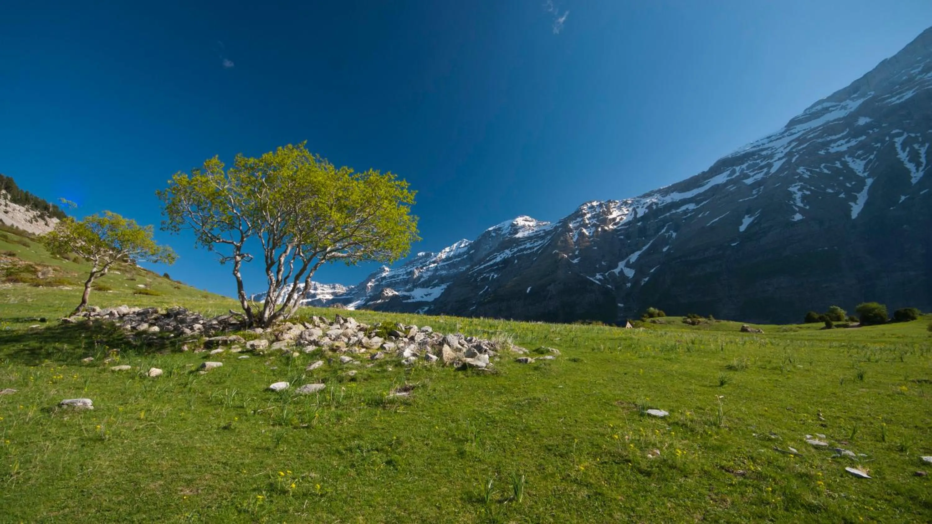 Natural landscape in O Chardinet d'a Formiga