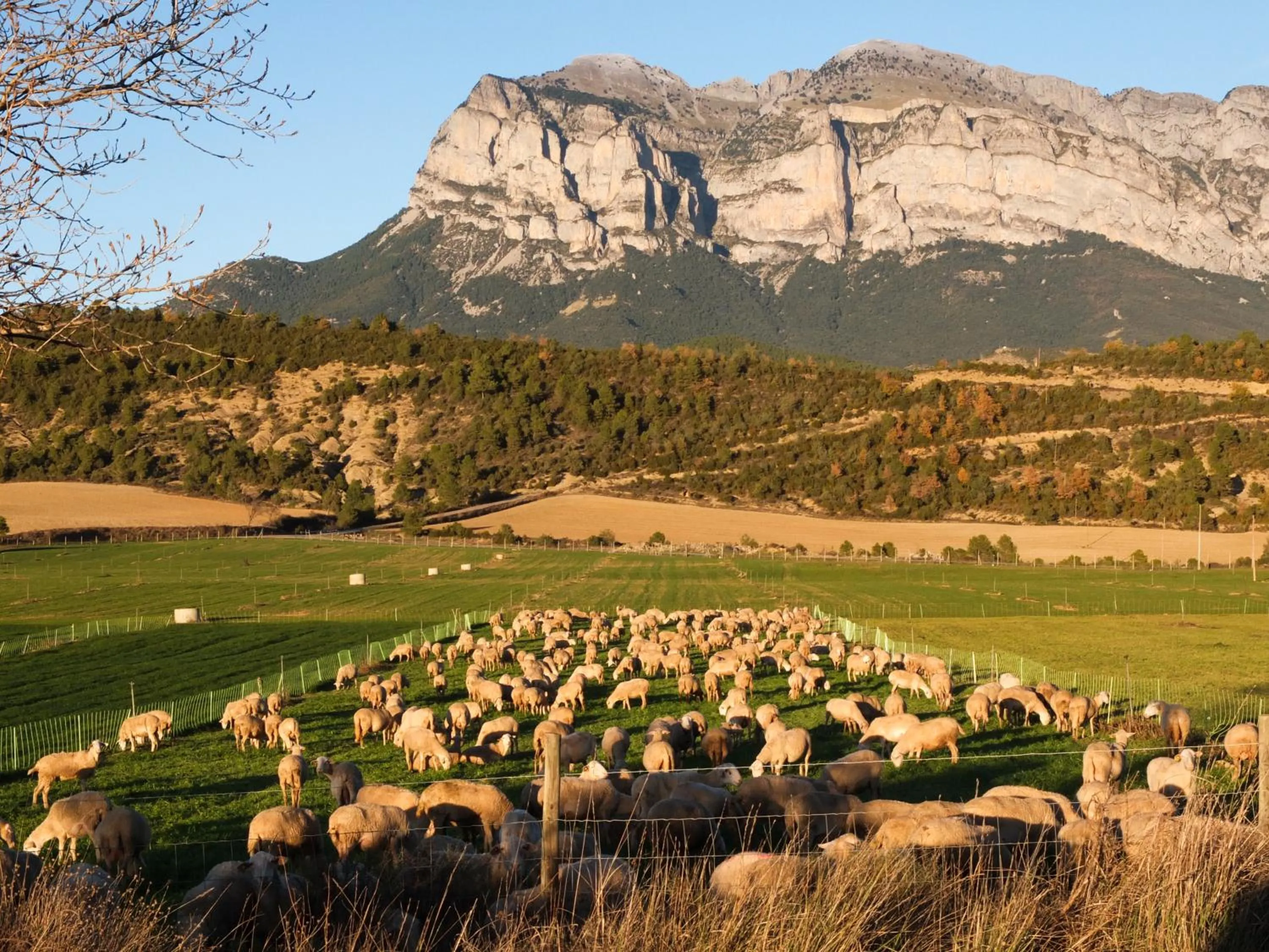 Nearby landmark in O Chardinet d'a Formiga
