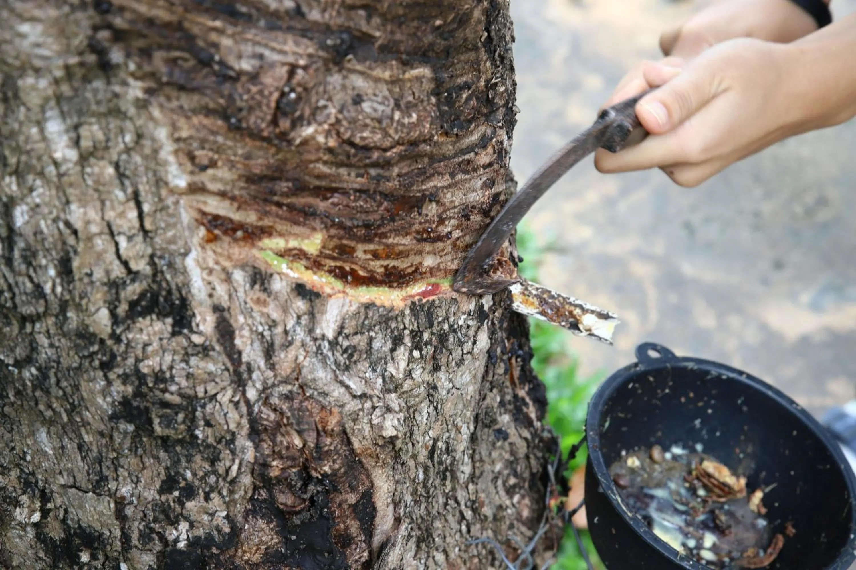 Activities in The Vijitt Resort Phuket - SHA Extra Plus