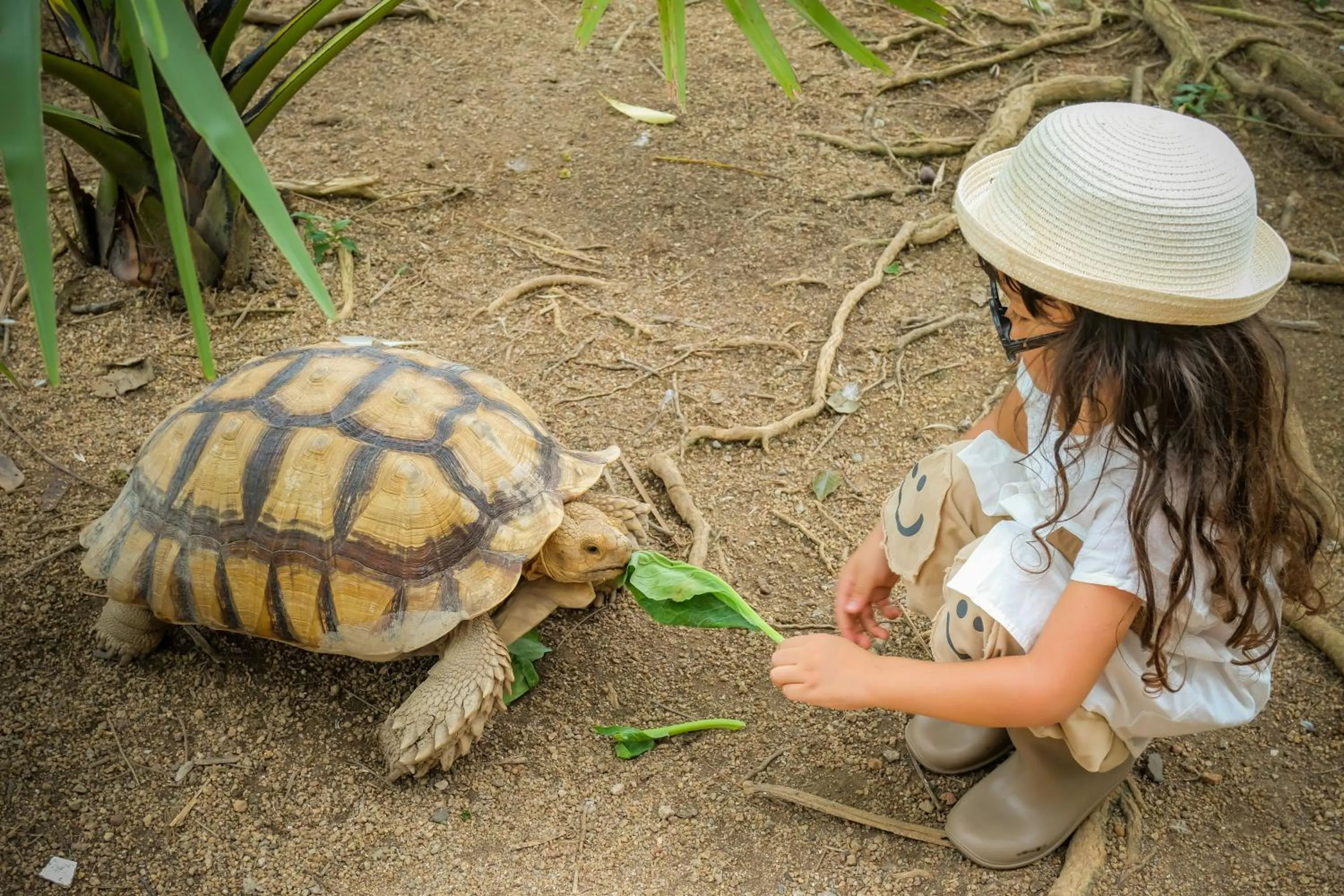 Activities in The Vijitt Resort Phuket - SHA Extra Plus