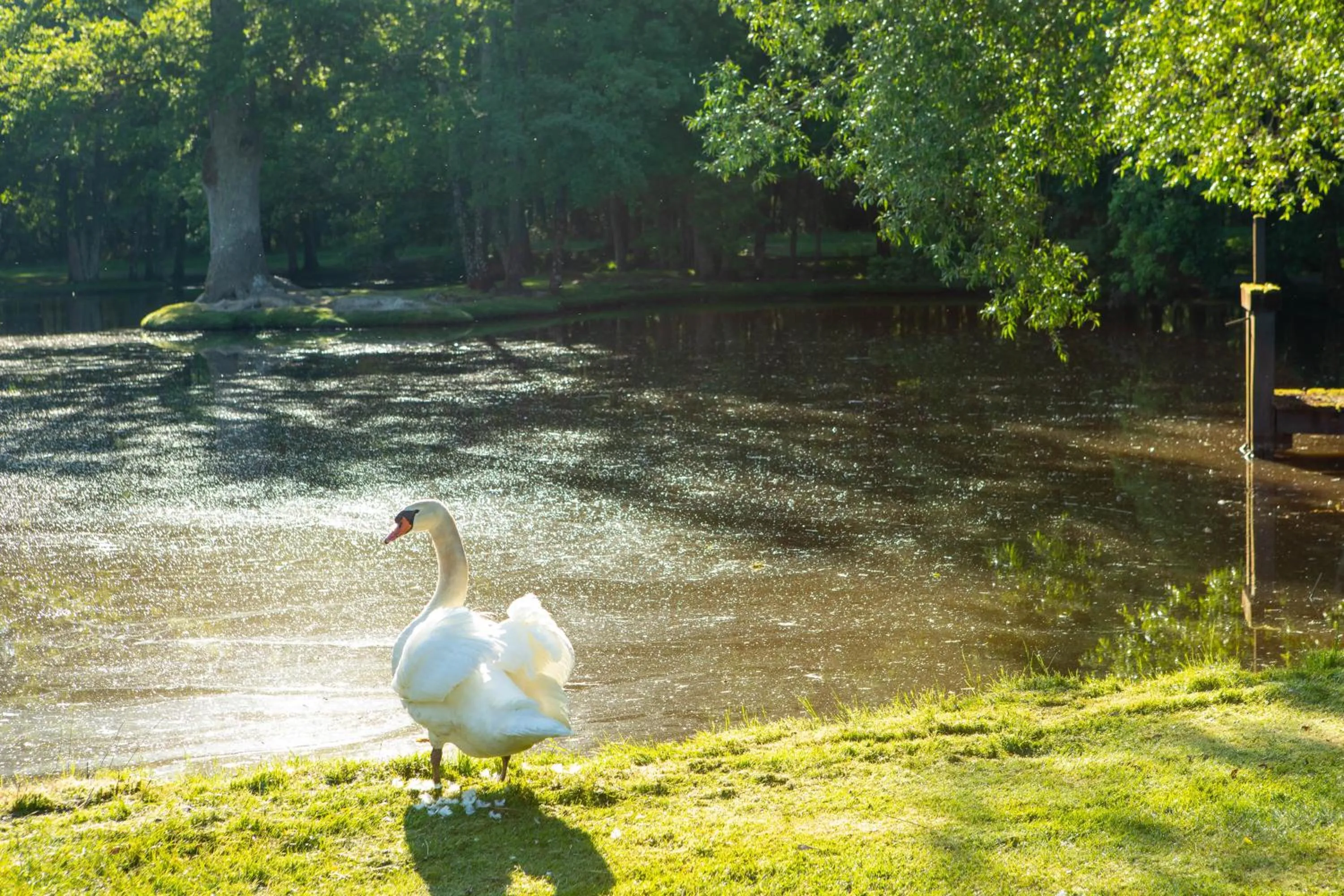 L'Orée des Chênes, The Originals Relais