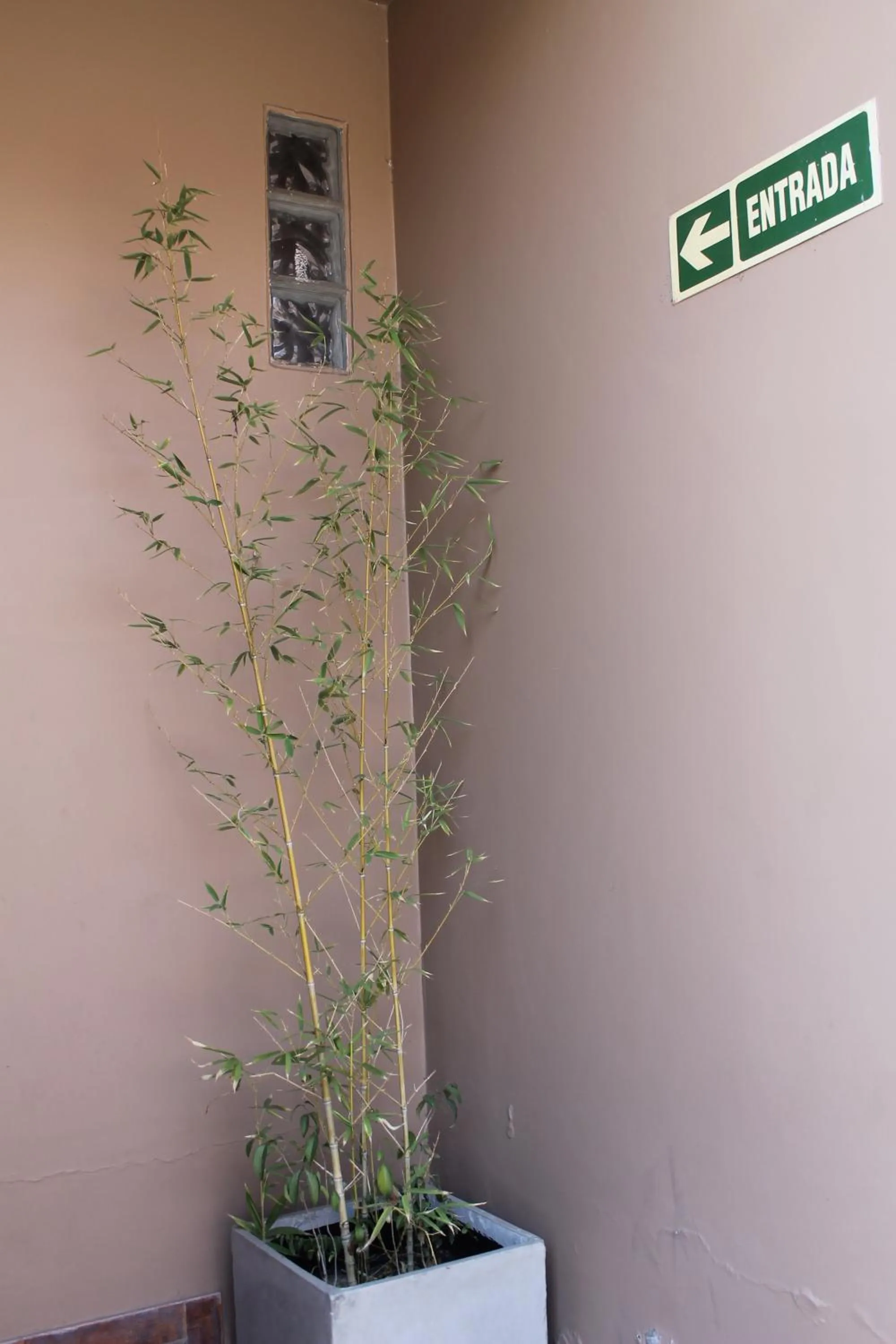 Facade/entrance in Hotel Sienna