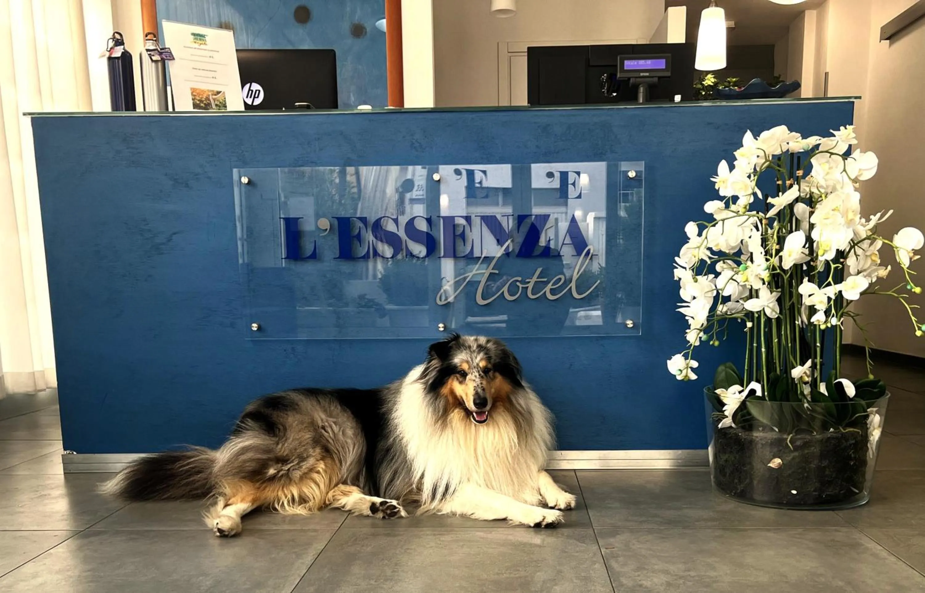 Lobby or reception in L'Essenza Hotel