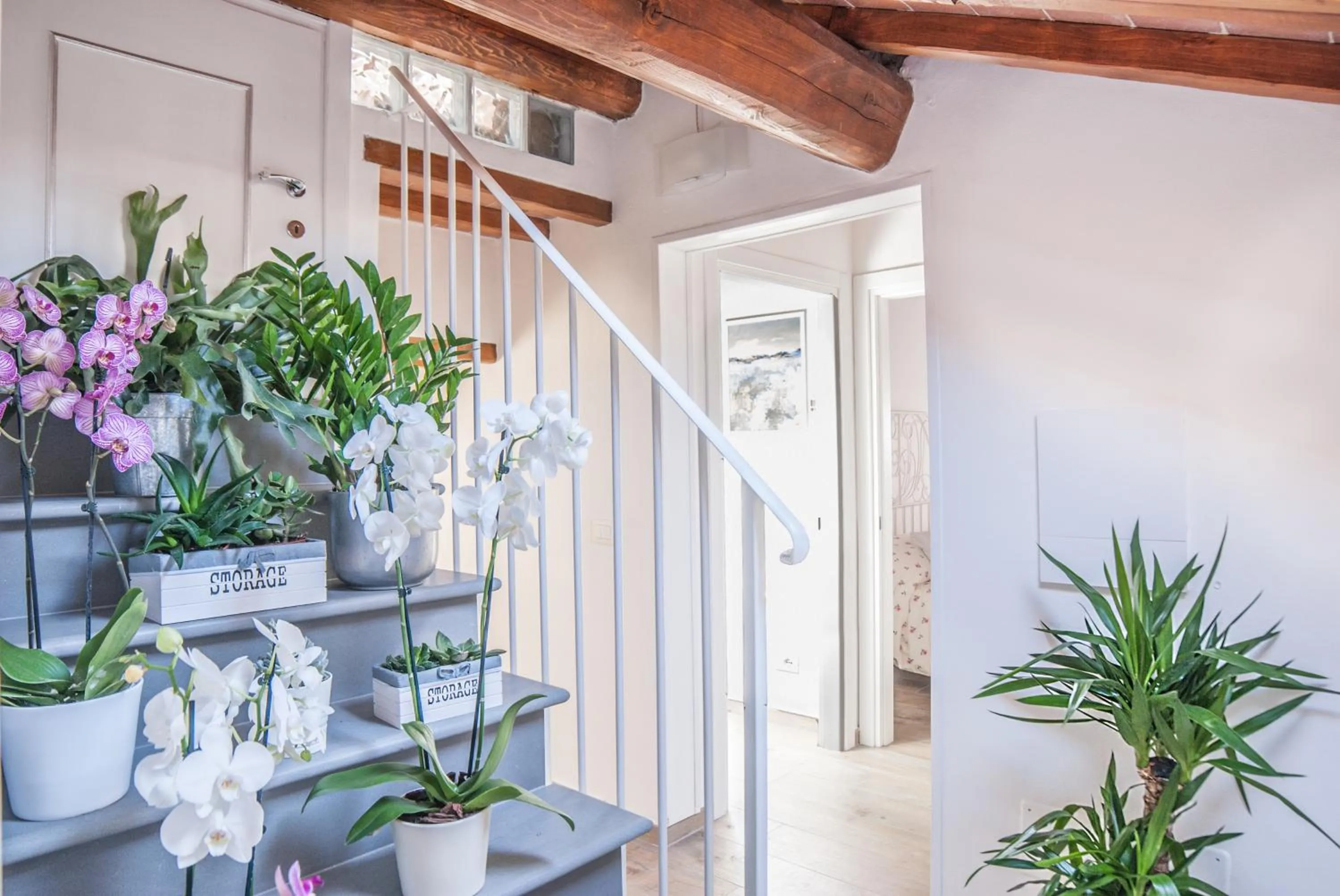 Cascine Home Holidays