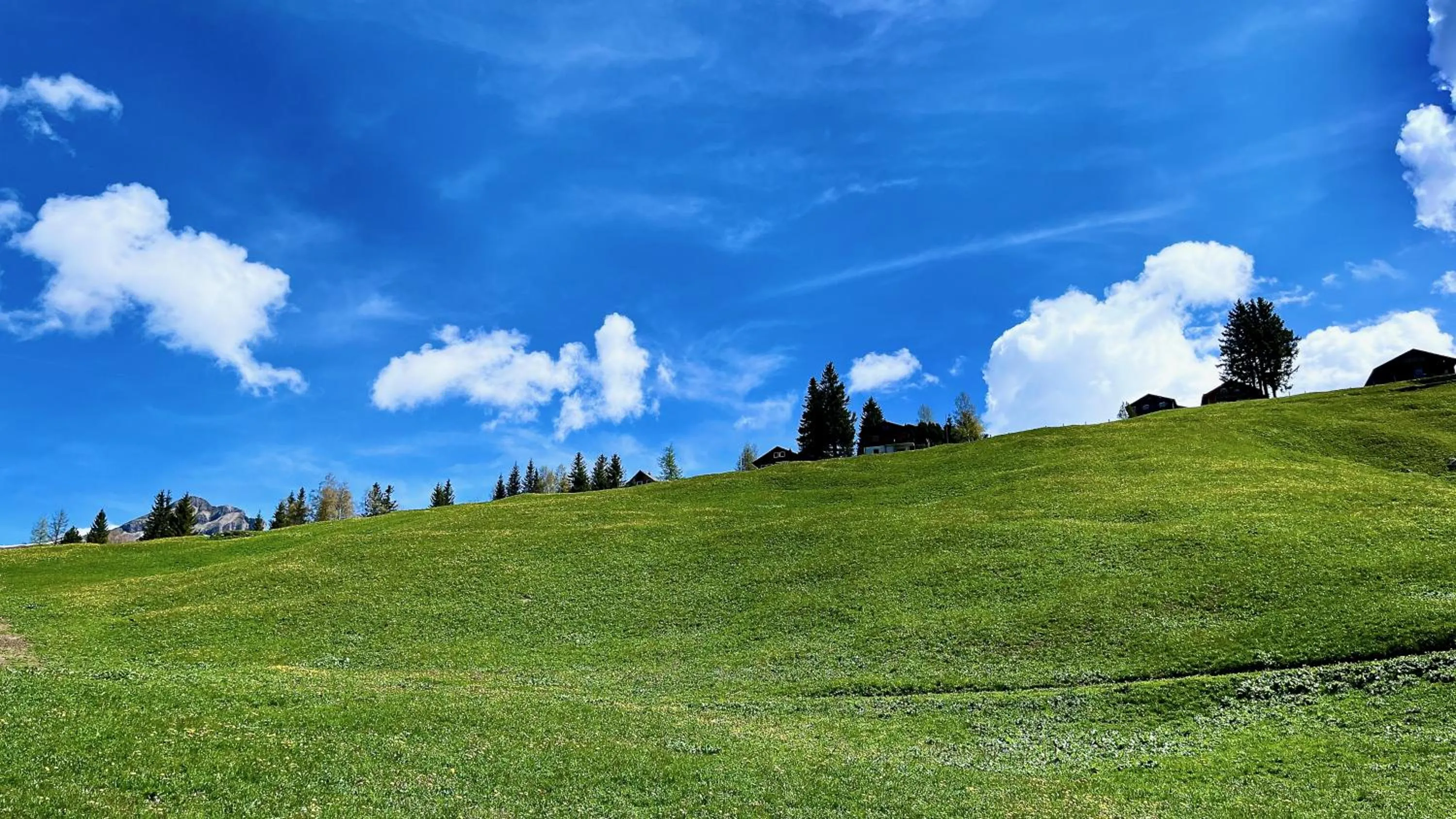 Garden view in Berggasthaus Eggberge - Boutique Mountain Hotel - Access via Cablecar