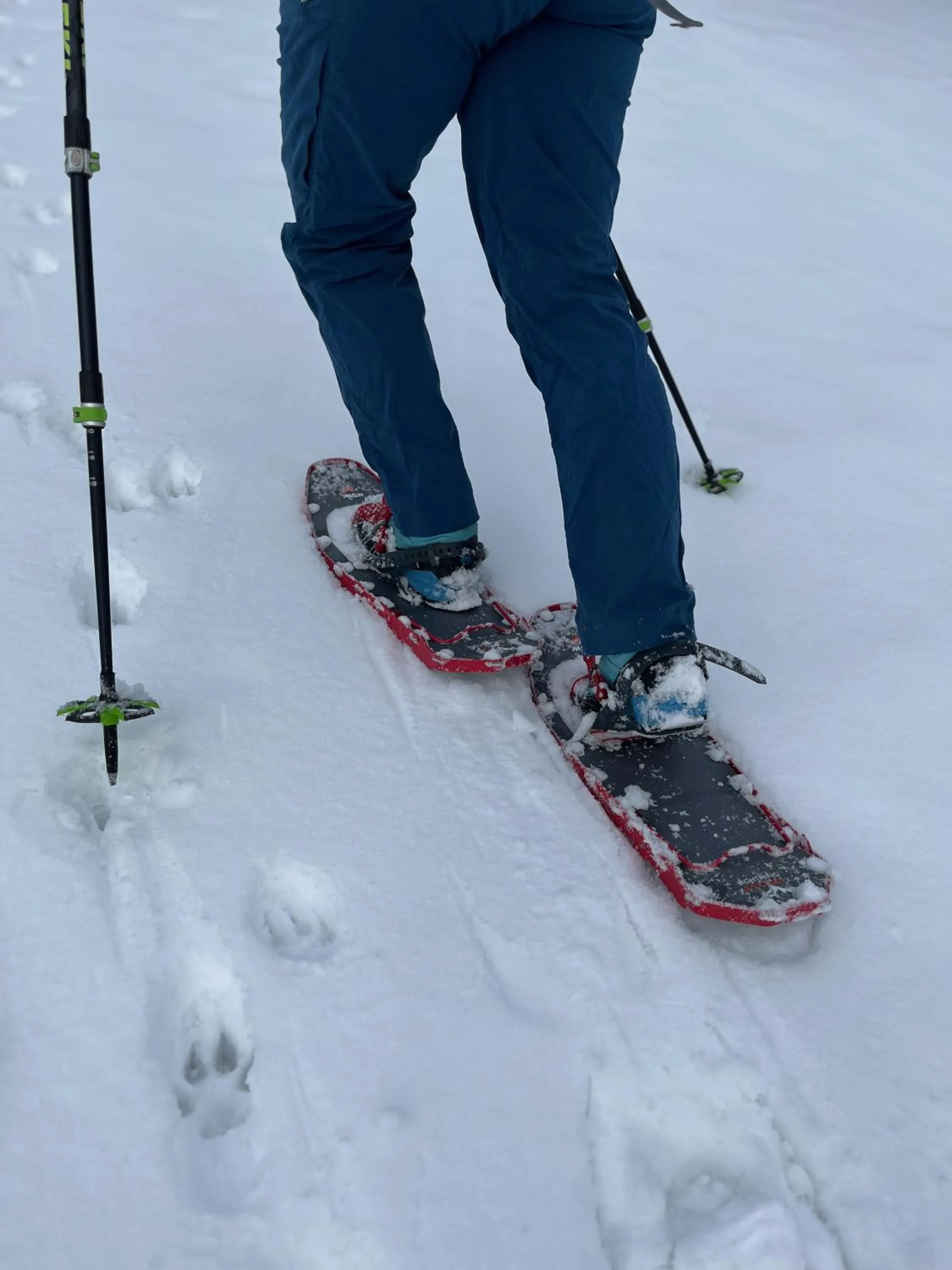 Hiking in Berggasthaus Eggberge - Boutique Mountain Hotel - Access via Cablecar