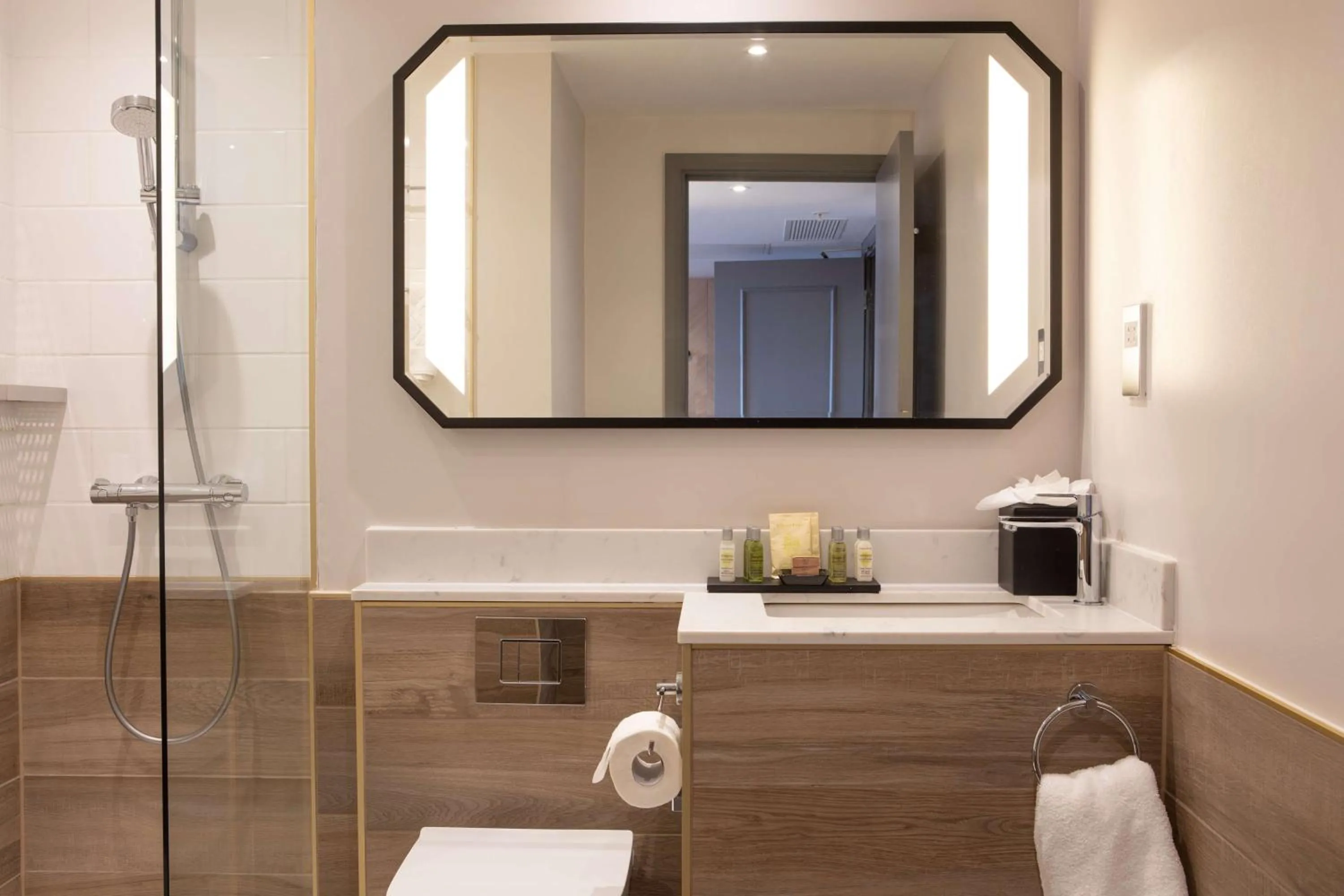 Bathroom in Hilton Nottingham Hotel