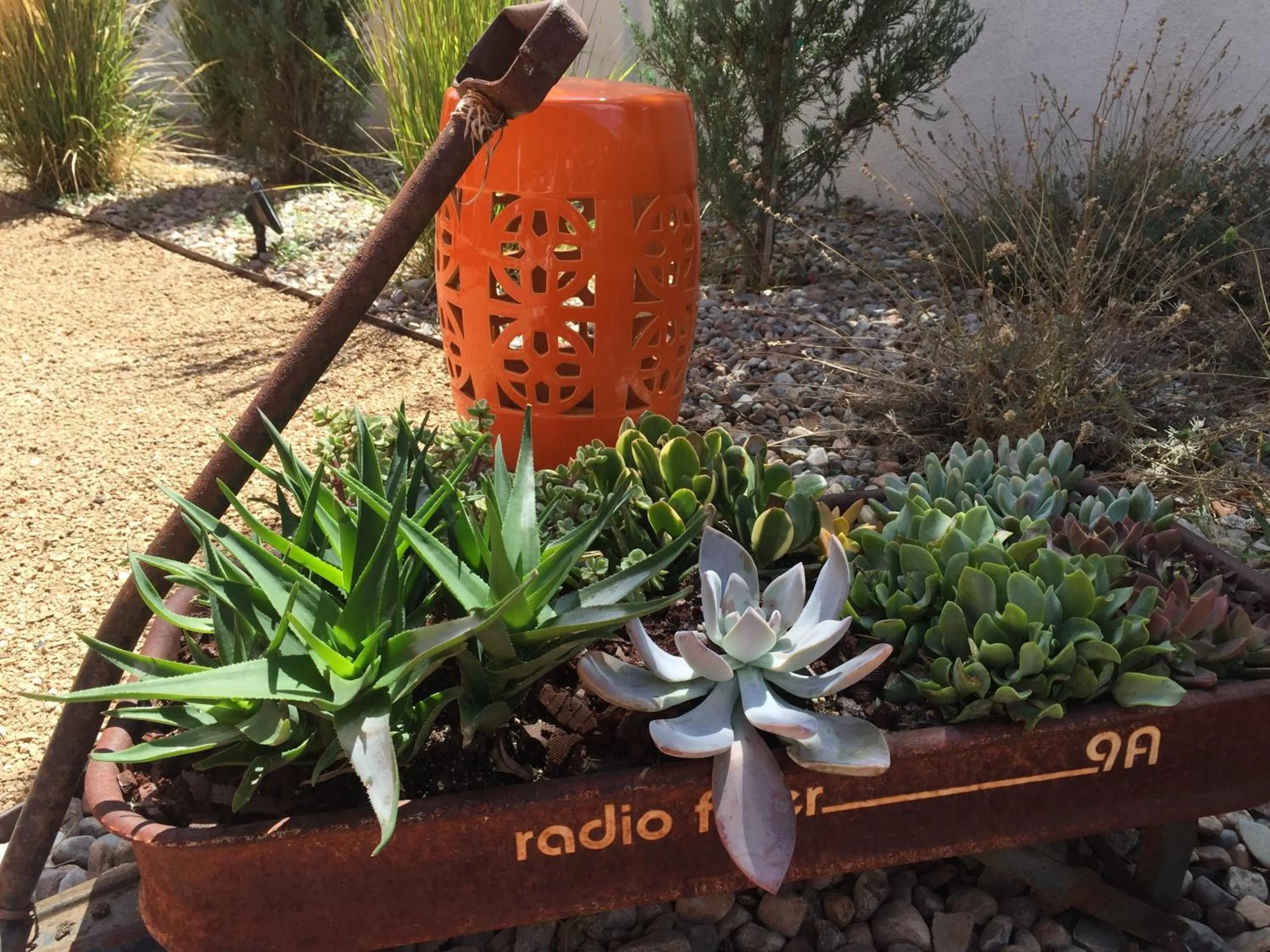 Spring in Painted Lady Bed & Brew