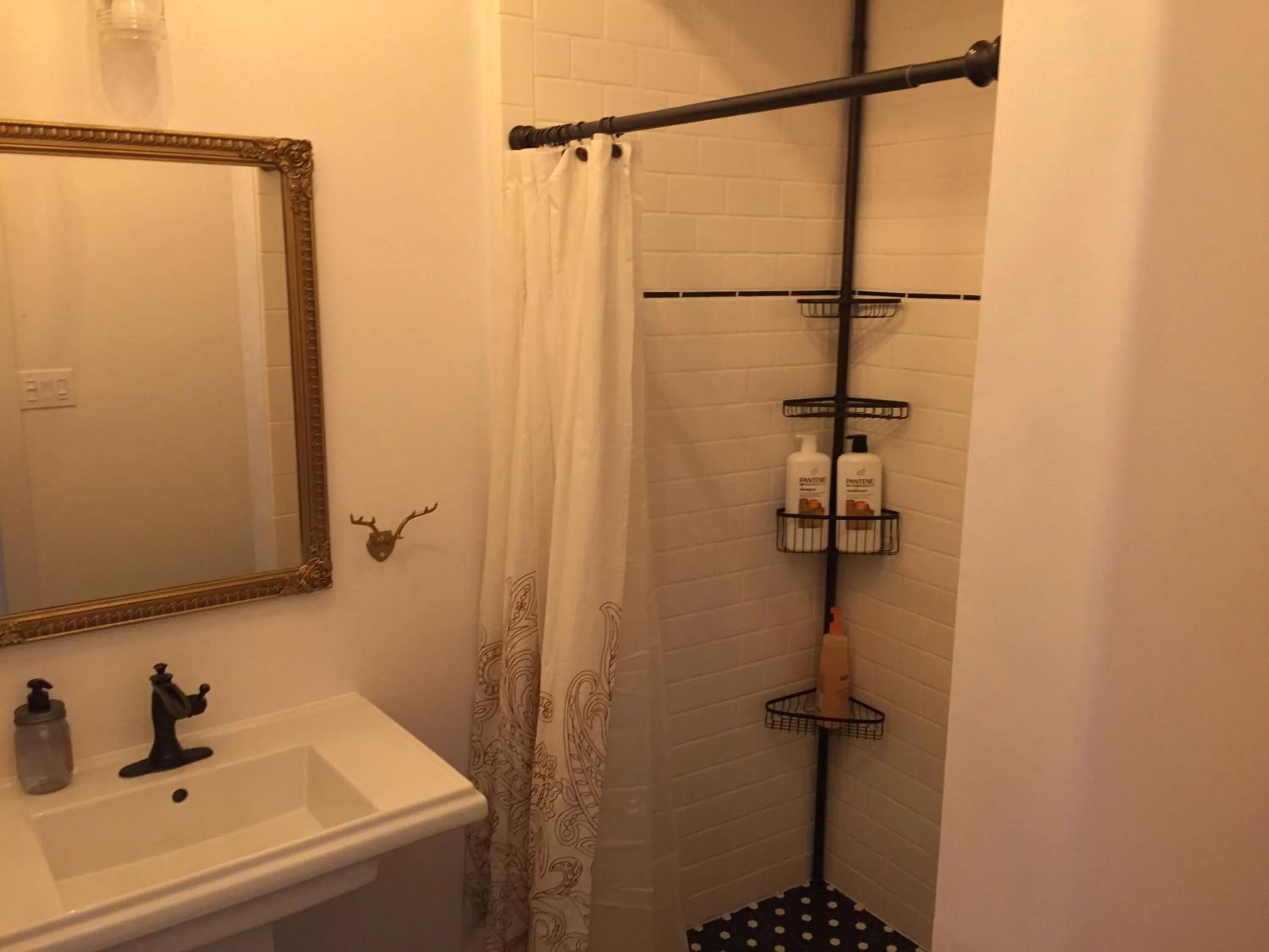 Shower in Painted Lady Bed & Brew