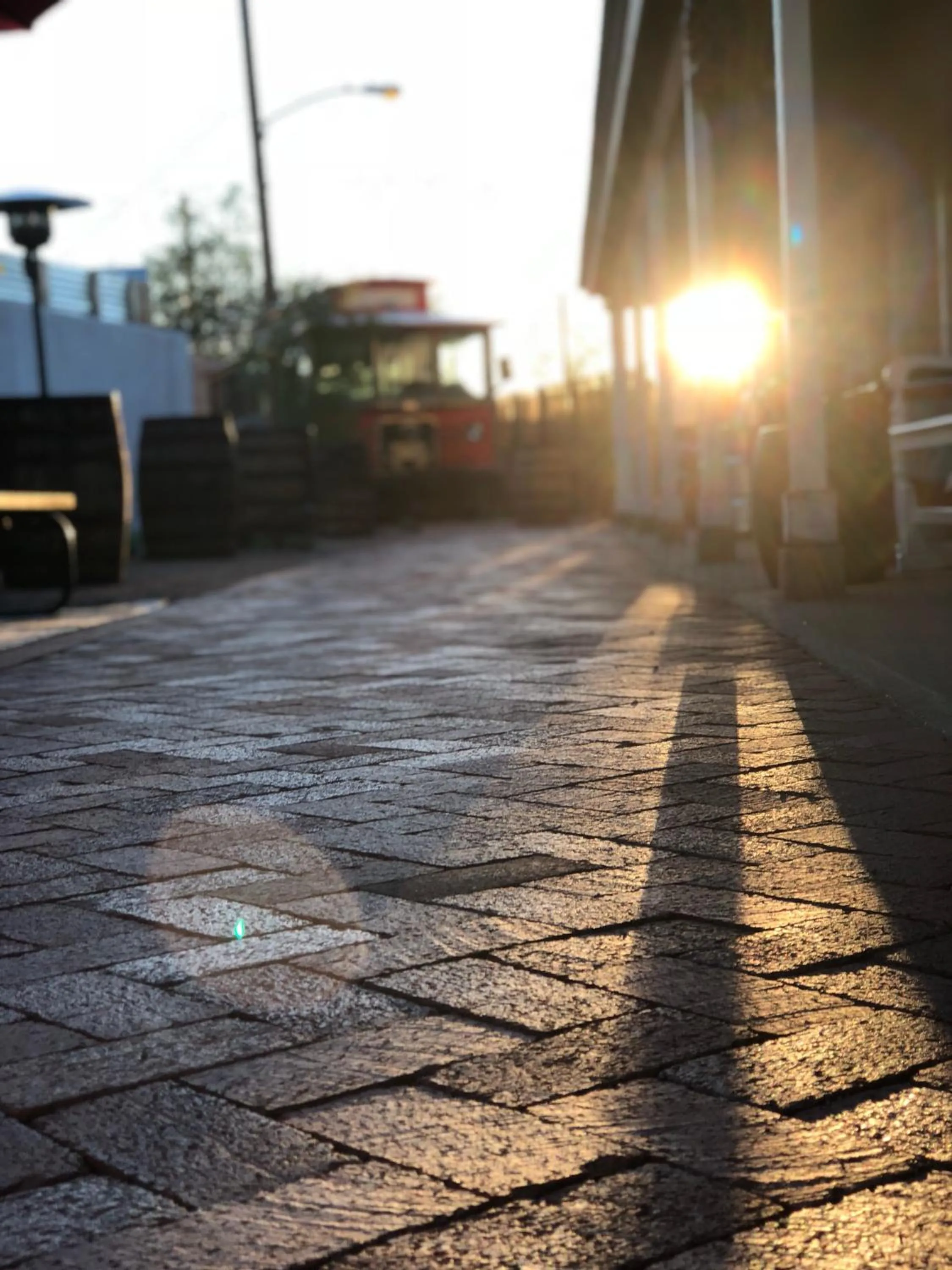 Facade/entrance in Painted Lady Bed & Brew