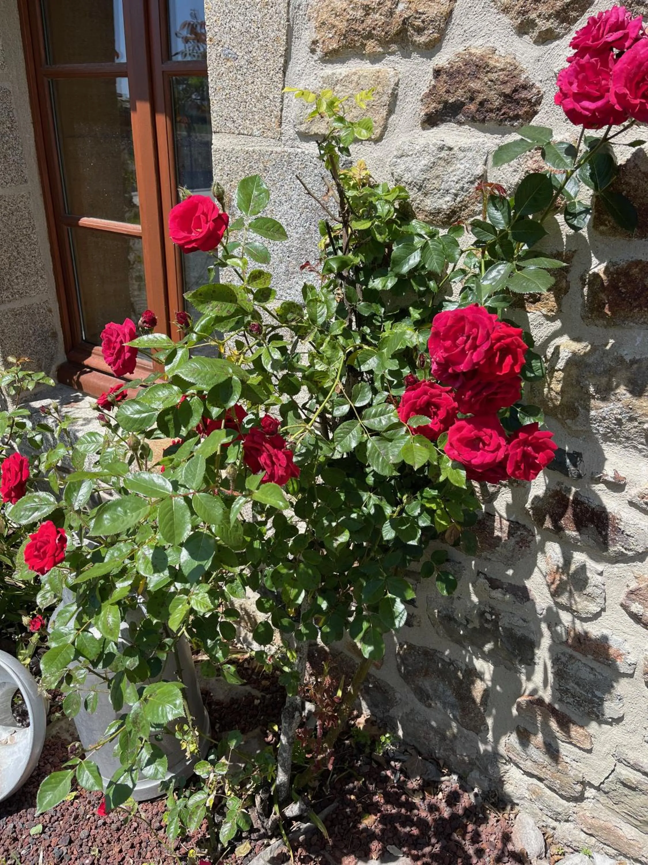 Garden in Le Haut Pont de la Baie