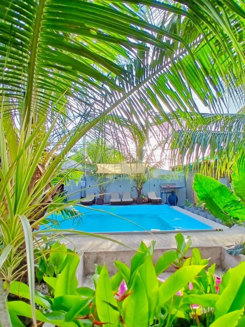 Garden view in Ananas Guesthouse