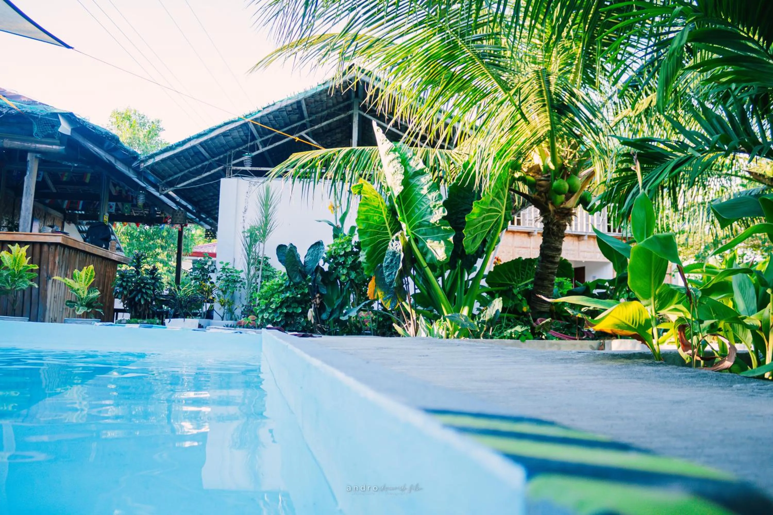 Garden in Ananas Guesthouse
