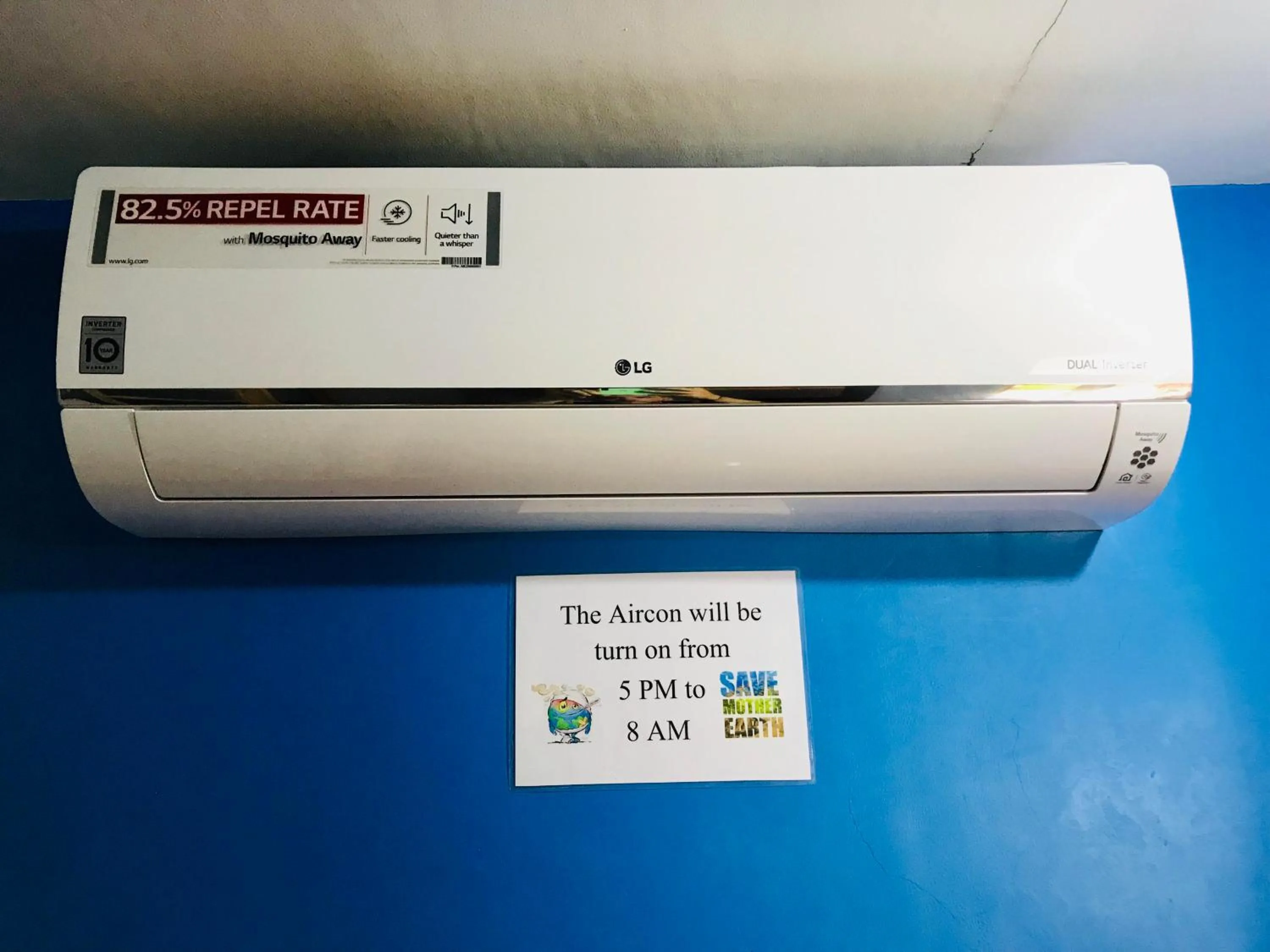 Area and facilities in Ananas Guesthouse