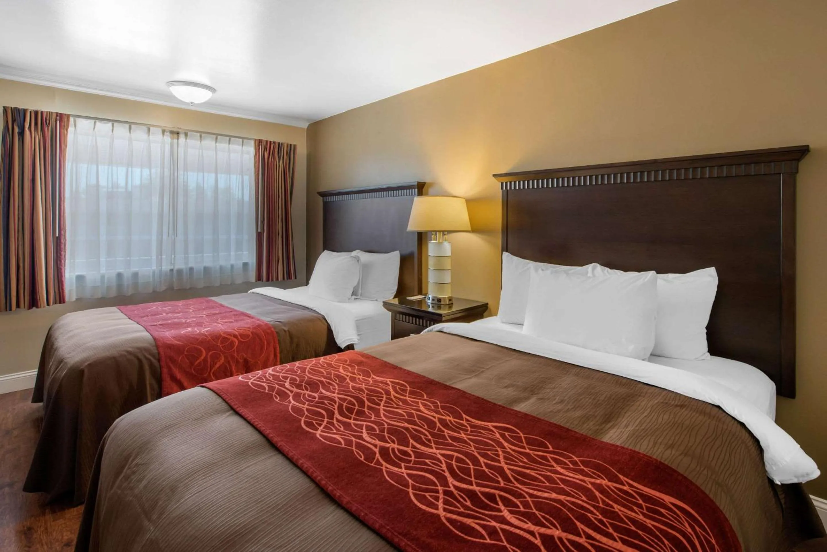 Photo of the whole room in Abode