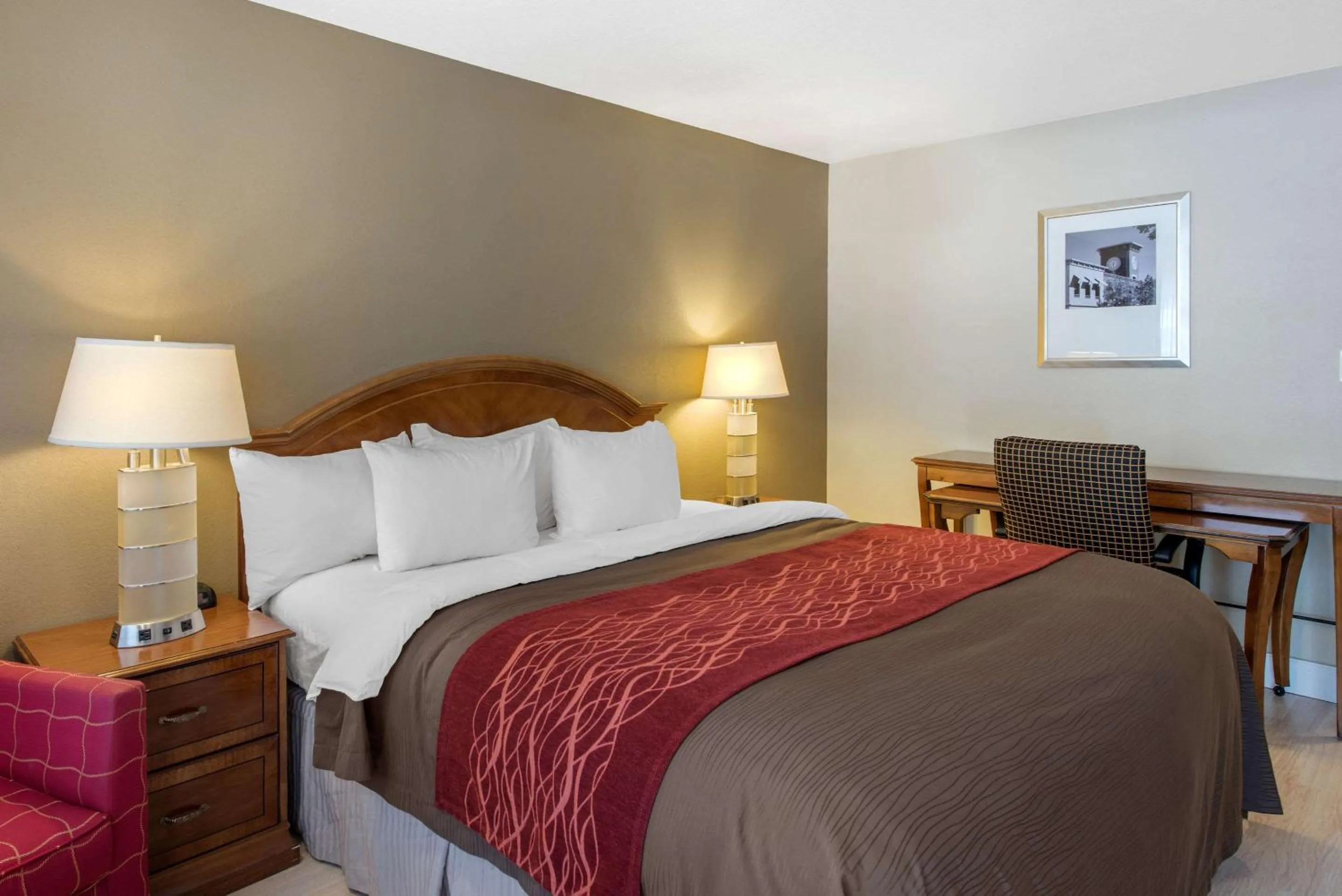 Photo of the whole room in Abode