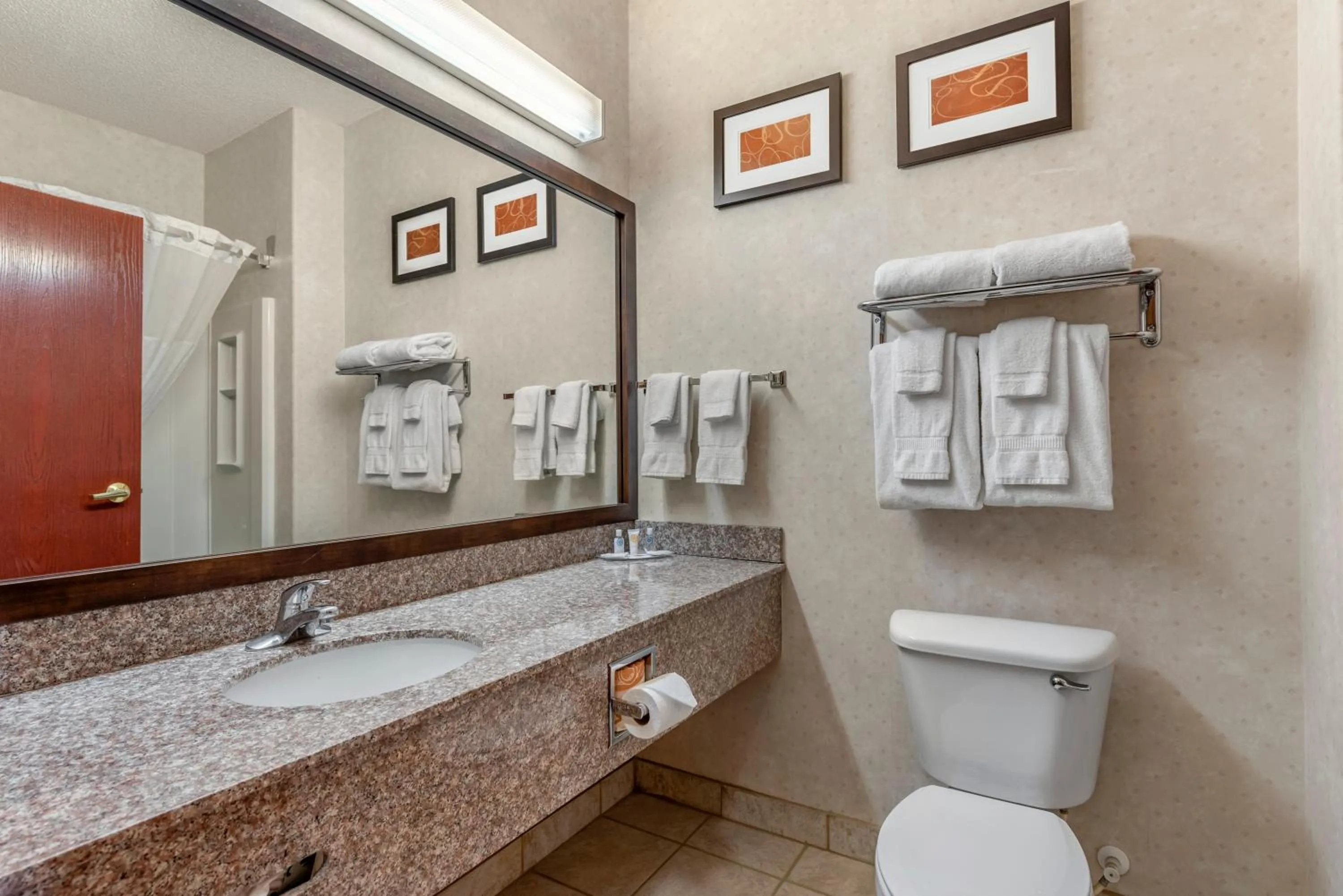 Bathroom in Comfort Suites Castle Rock - Denver South