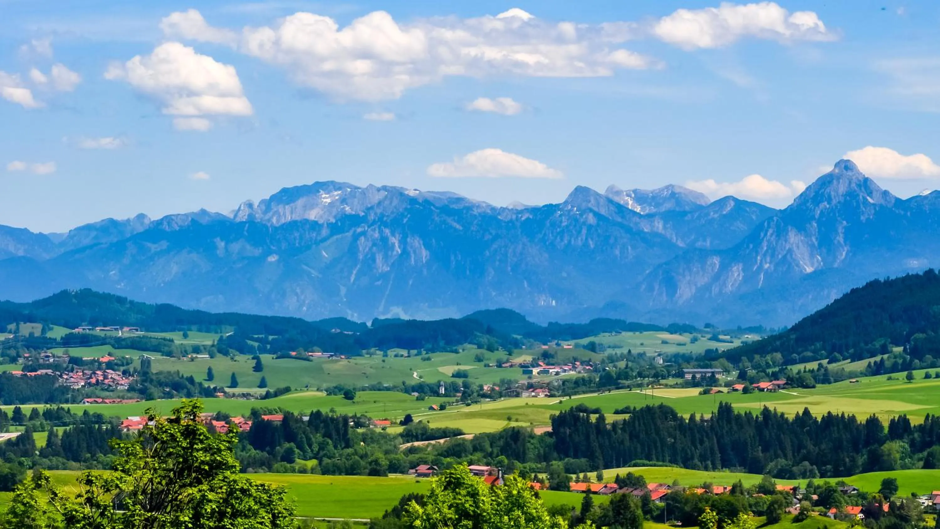 Summer in Hotel Gasthof Rose