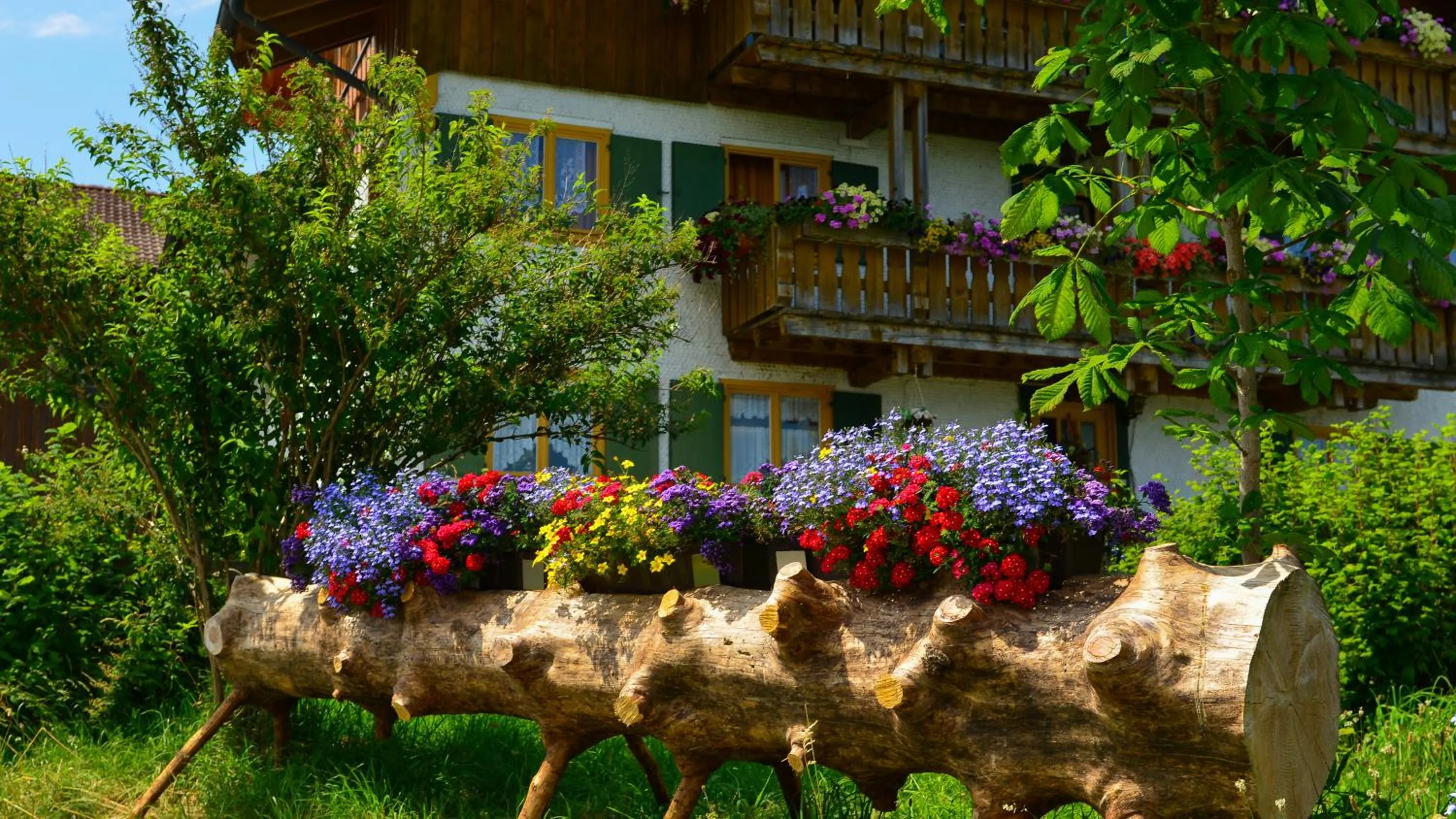 Summer in Hotel Gasthof Rose