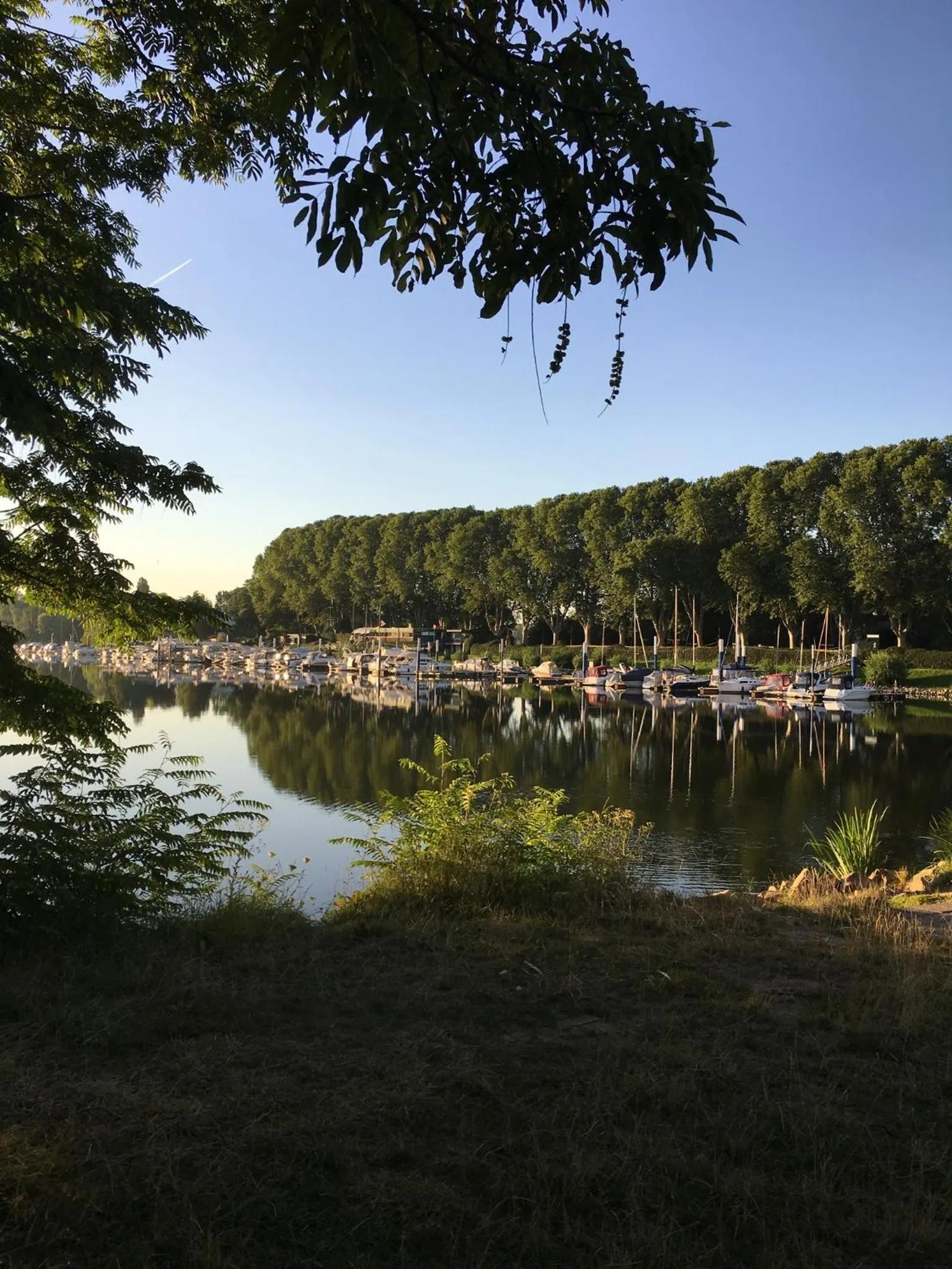Natural landscape in Schmuckkästle am Hafen