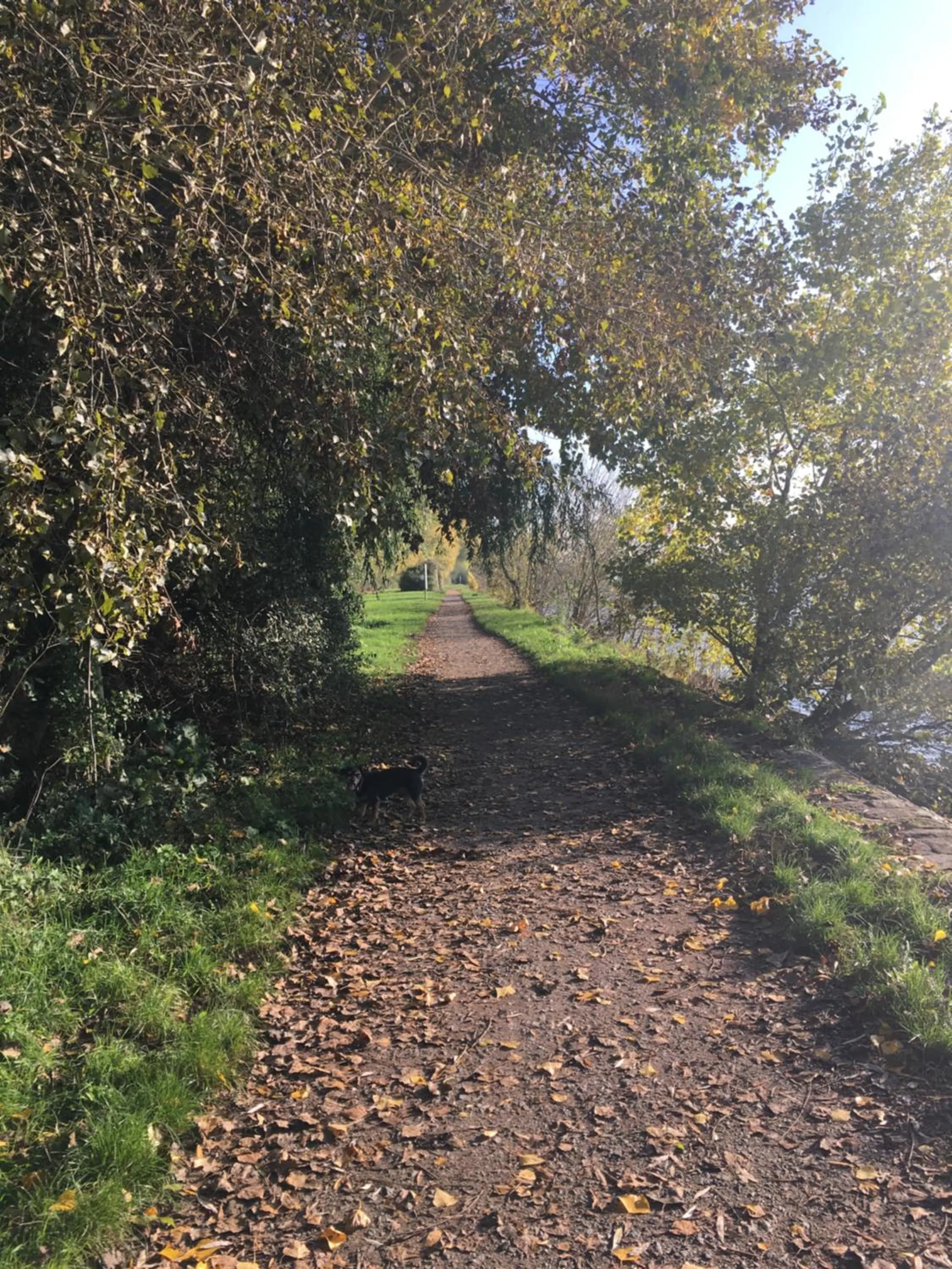 Natural landscape in Schmuckkästle am Hafen
