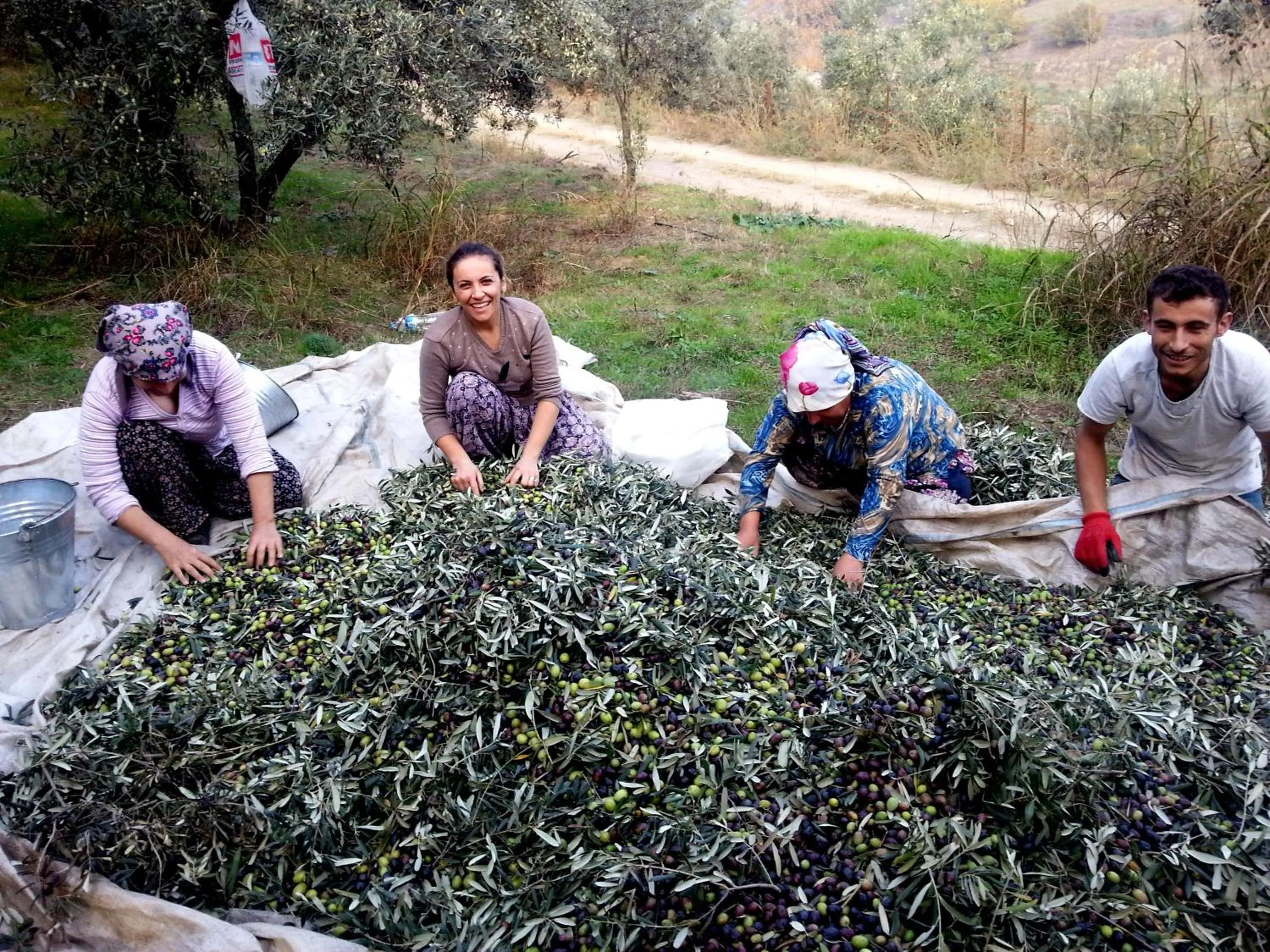 Winter in Nisanyan Hotel