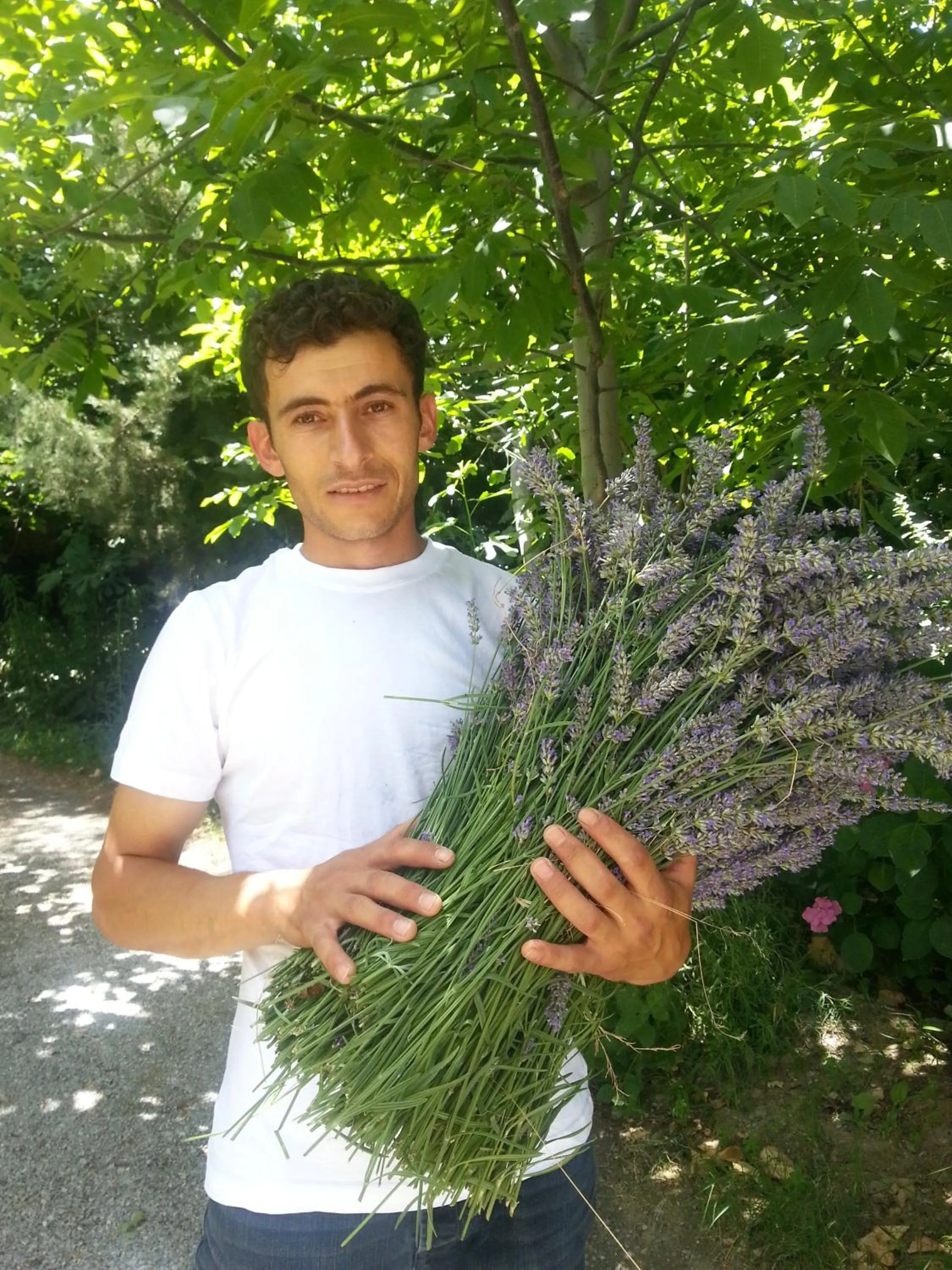 Facade/entrance in Nisanyan Hotel
