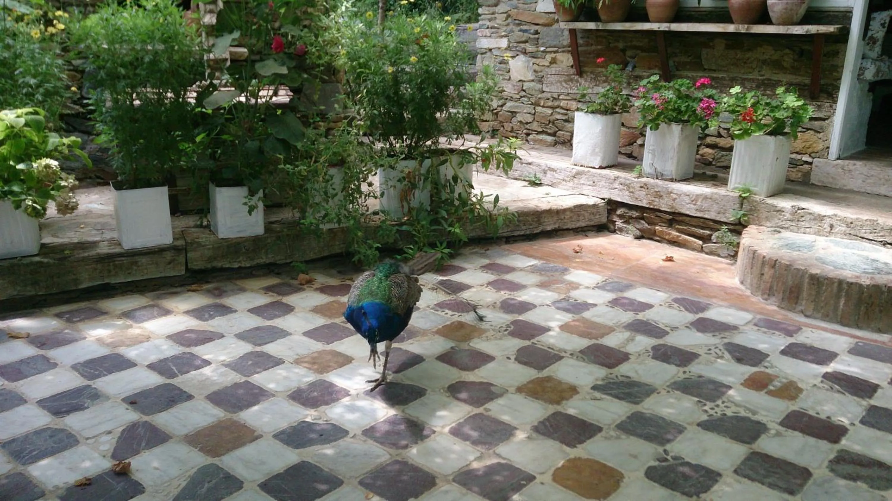 Day in Nisanyan Hotel