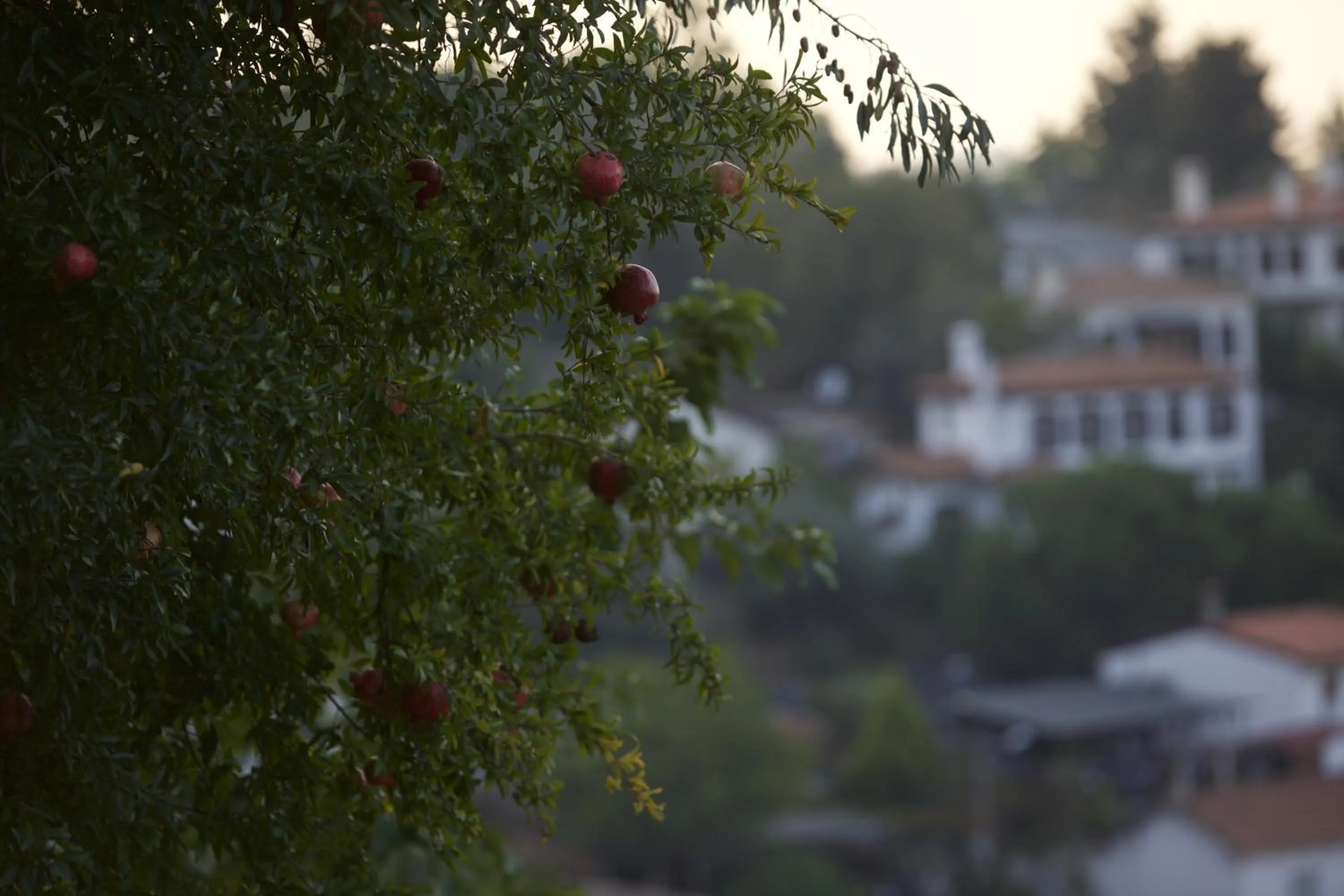 Day in Nisanyan Hotel