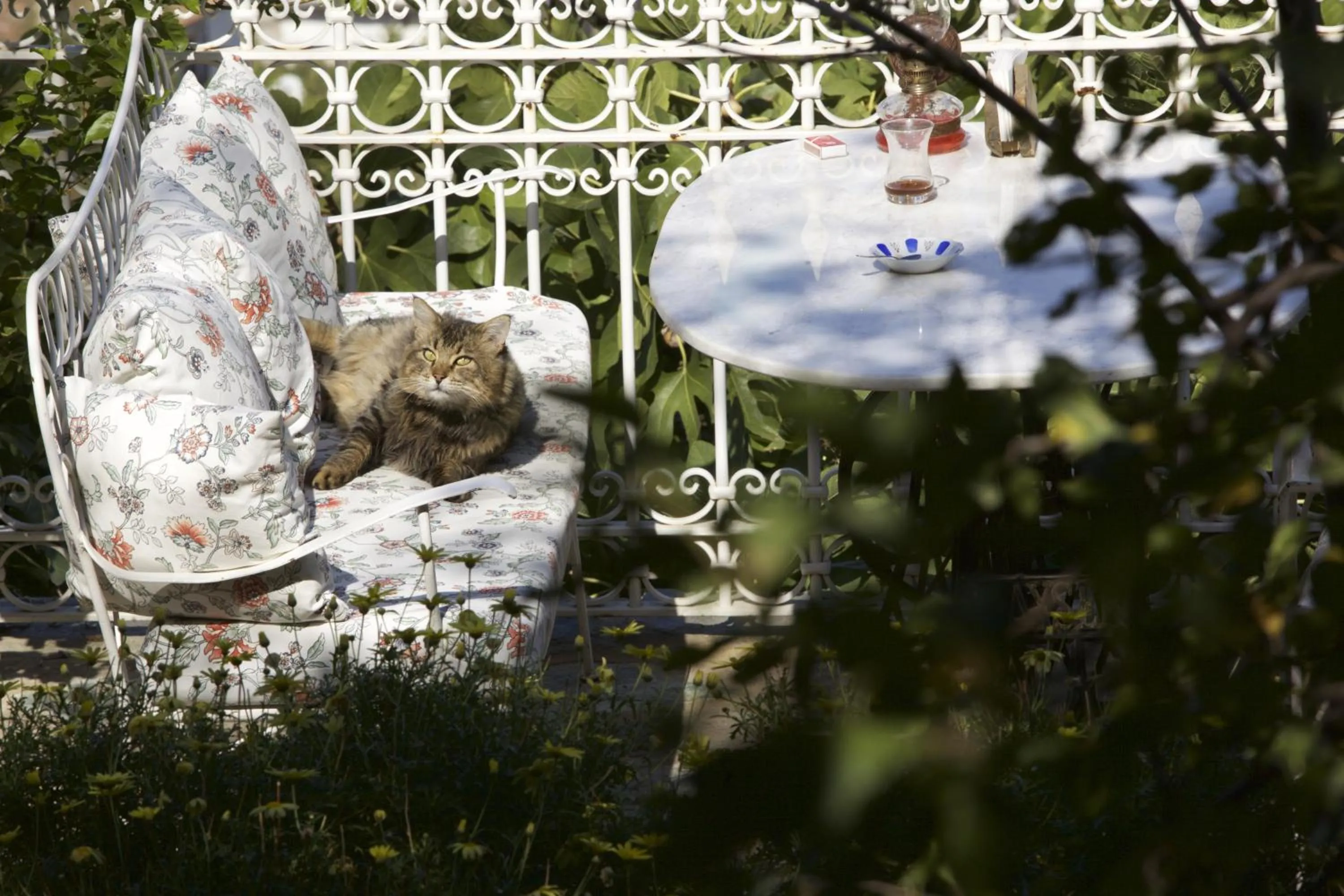 Day in Nisanyan Hotel